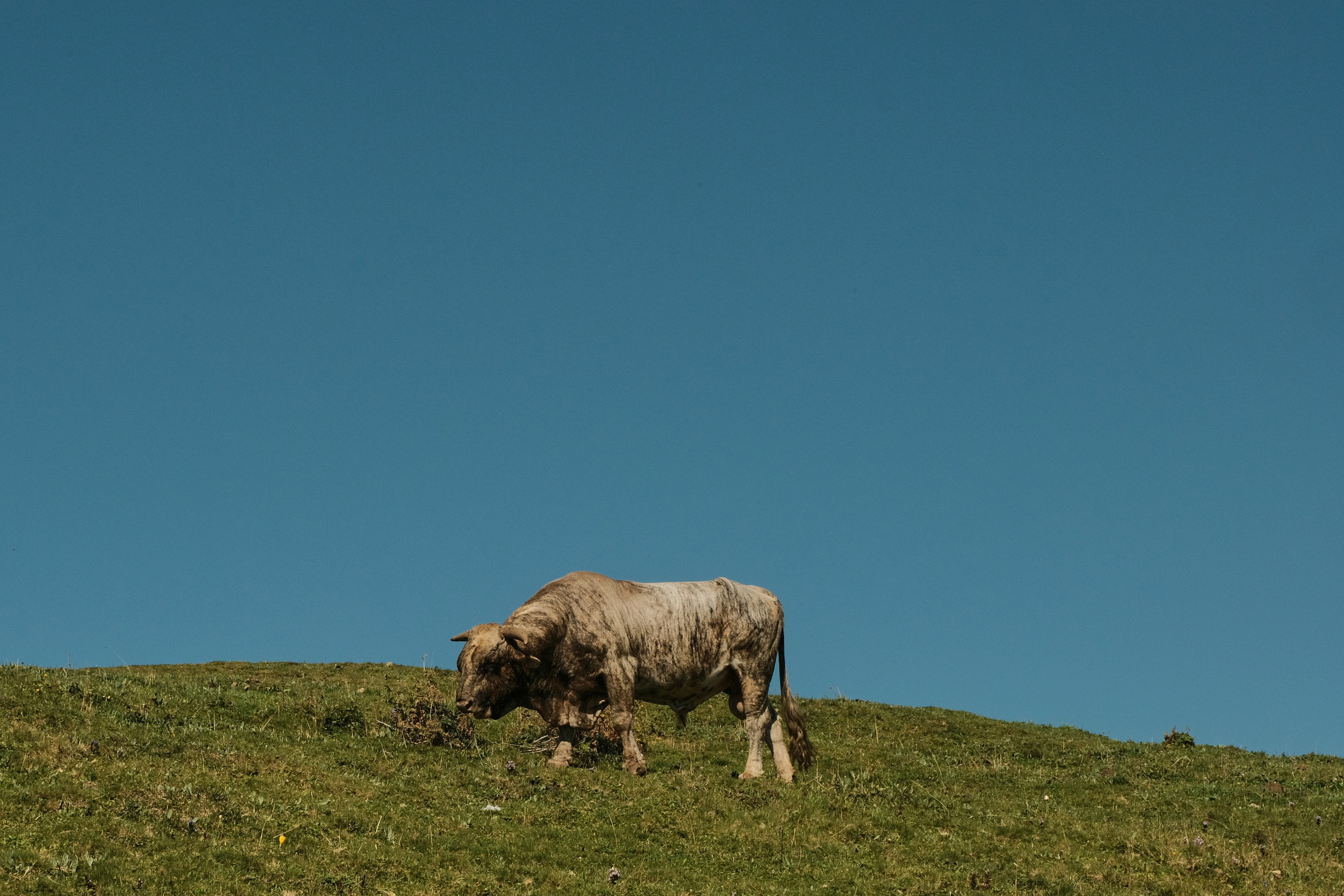 Krasnaya Polyana. Creative travel photographer — Berg Daria