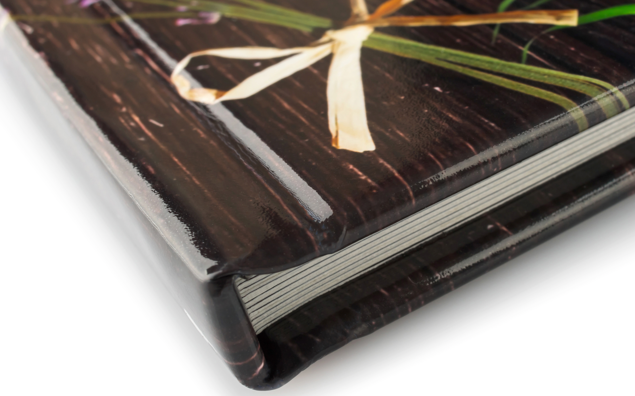 Плотные листы. Фотографии с душой. Фотограф Елена Паркер