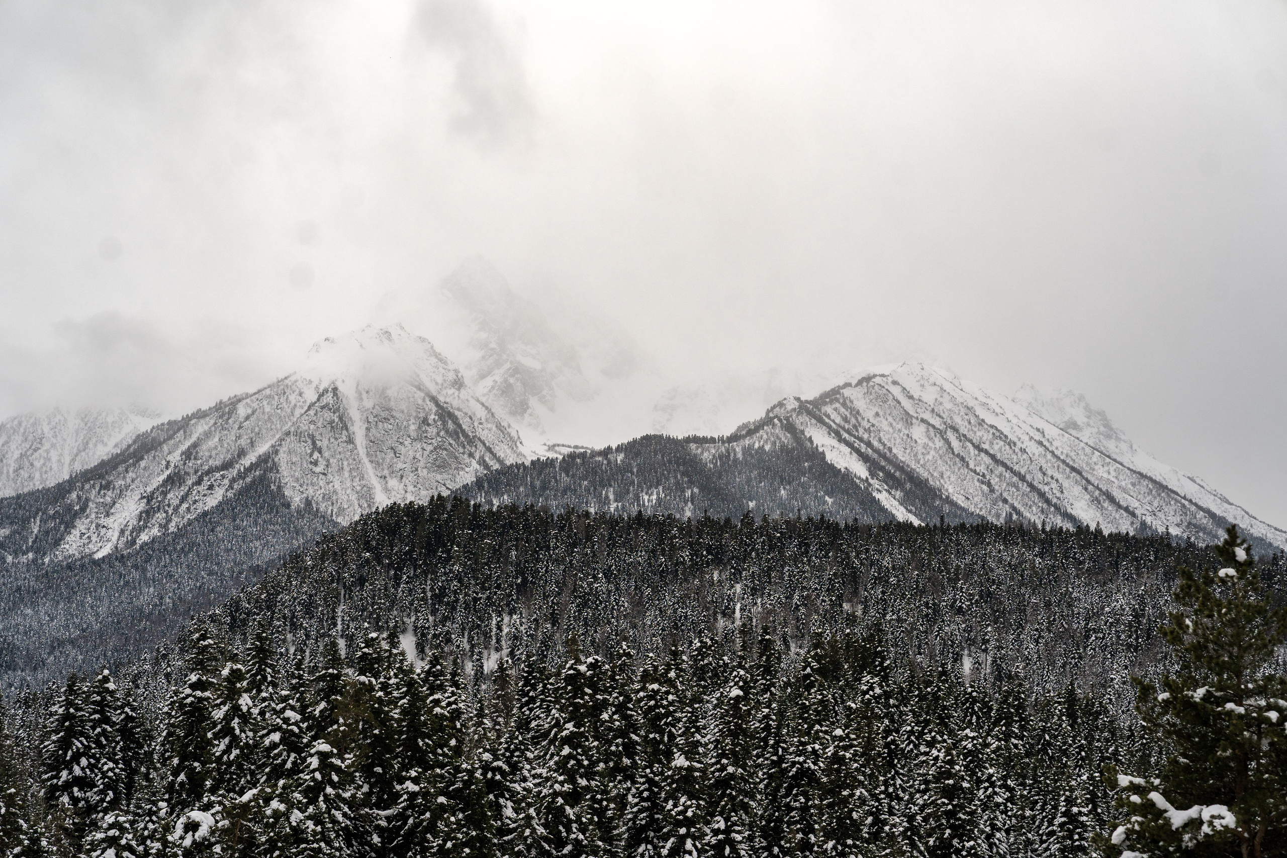 Sofia Shale. Фотограф и видеограф Елена Хмелевская