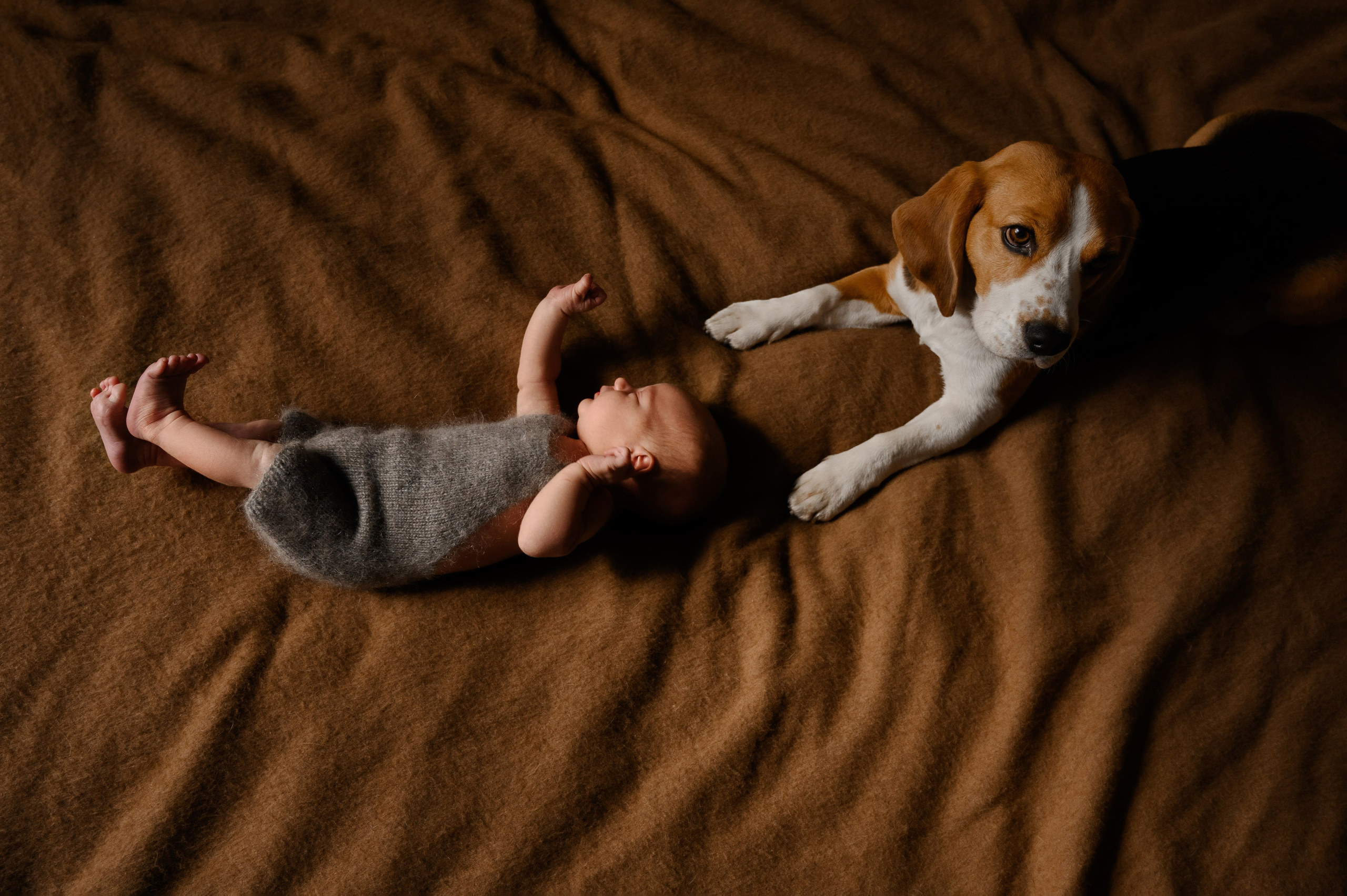 Серия с домашними животными. Фотограф новорожденных малышей в Санкт-Петербурге