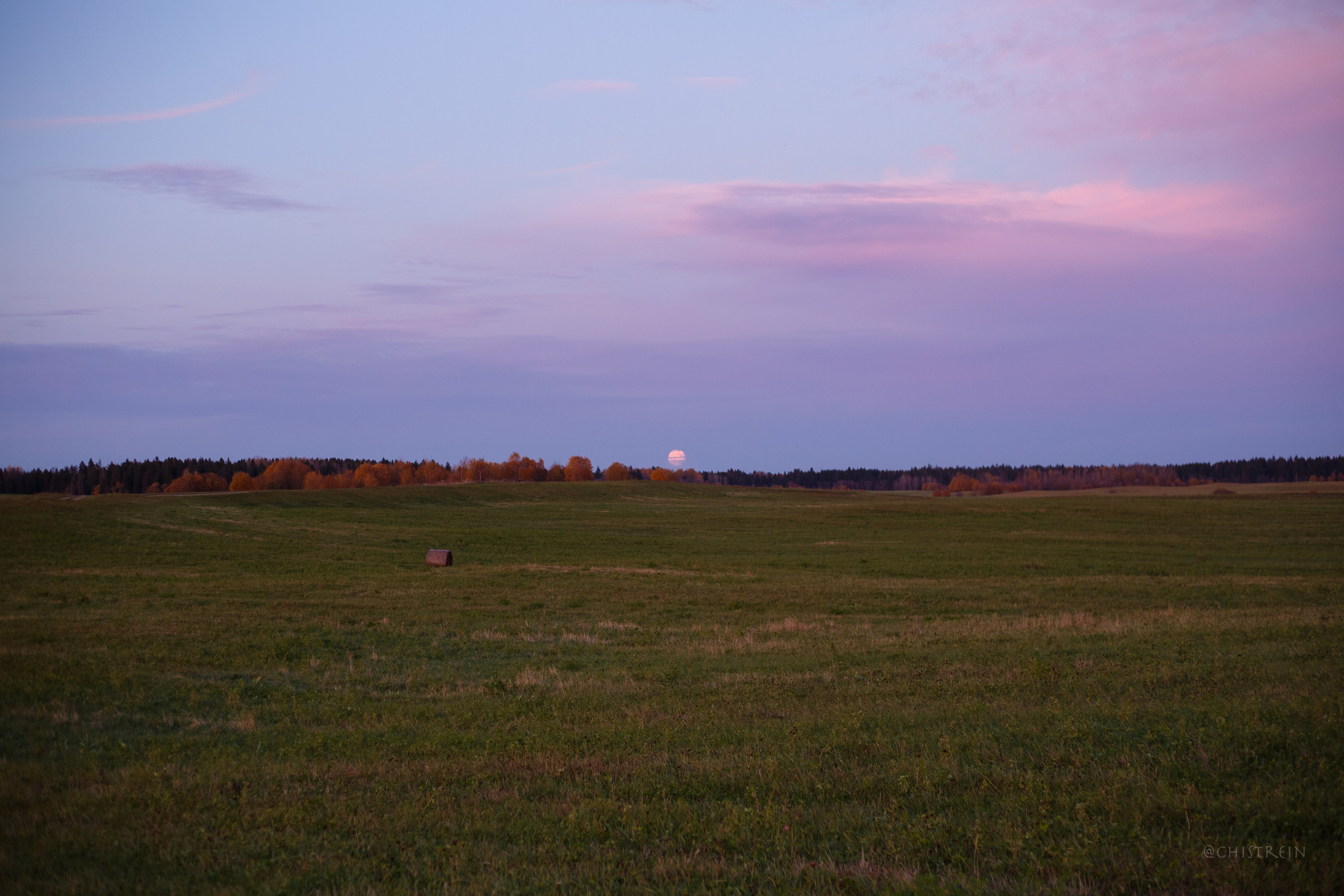 Октябрьский закат в полях. Алина и Лео. Фотограф-анималист Наталия Чистюхина в г. Сосновый Бор и ЛО