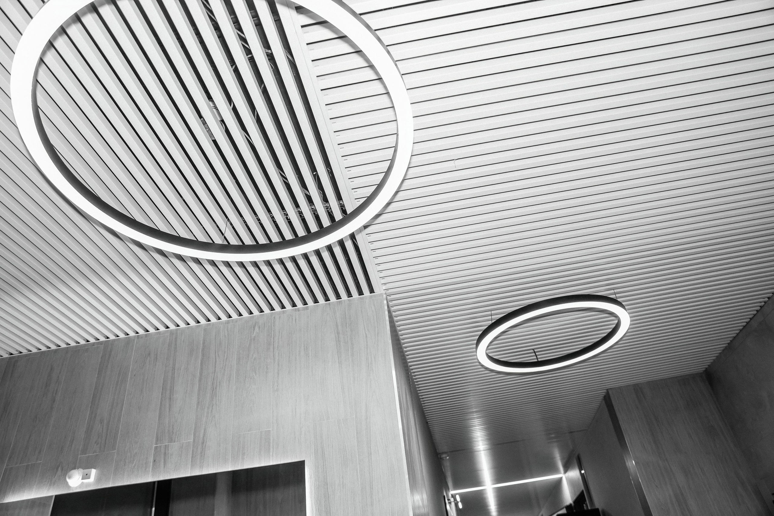 Презентация Семейного квартала Оптимисты. Фотограф Юлия Мальцева