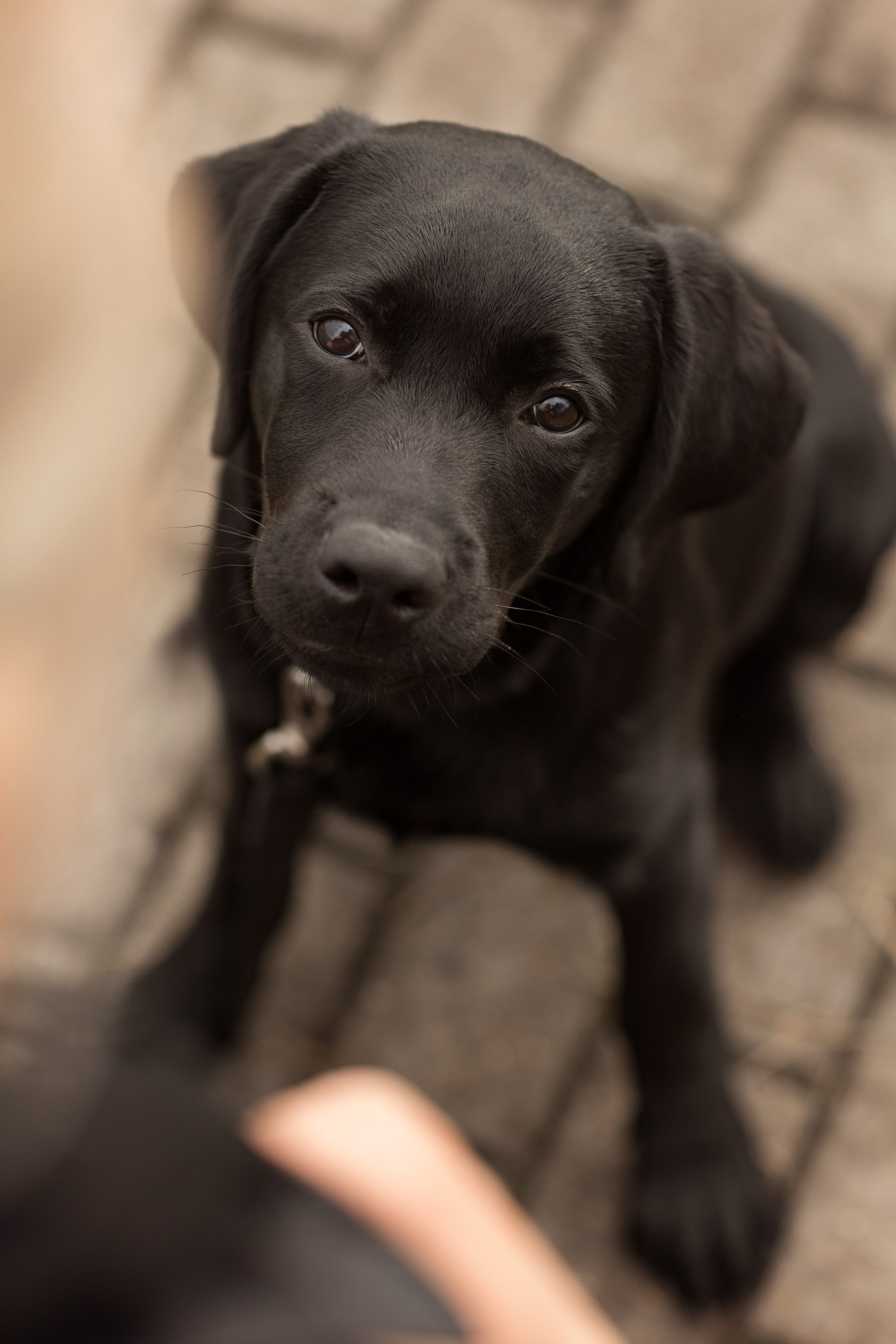Анастасия и маленькая Юна. Фотограф — Анималист Наталья Тямушева