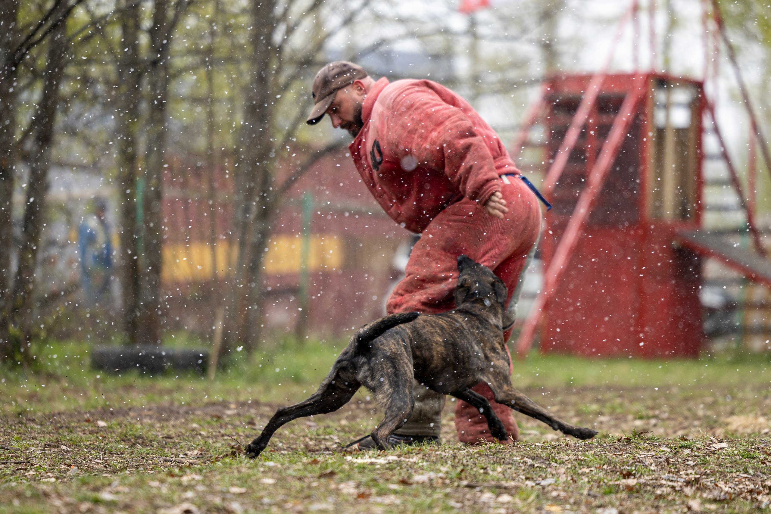 Квалификационные состязания по мондьорингу г. Вологда 11.05.24. Фотограф-анималист Анна Маринич