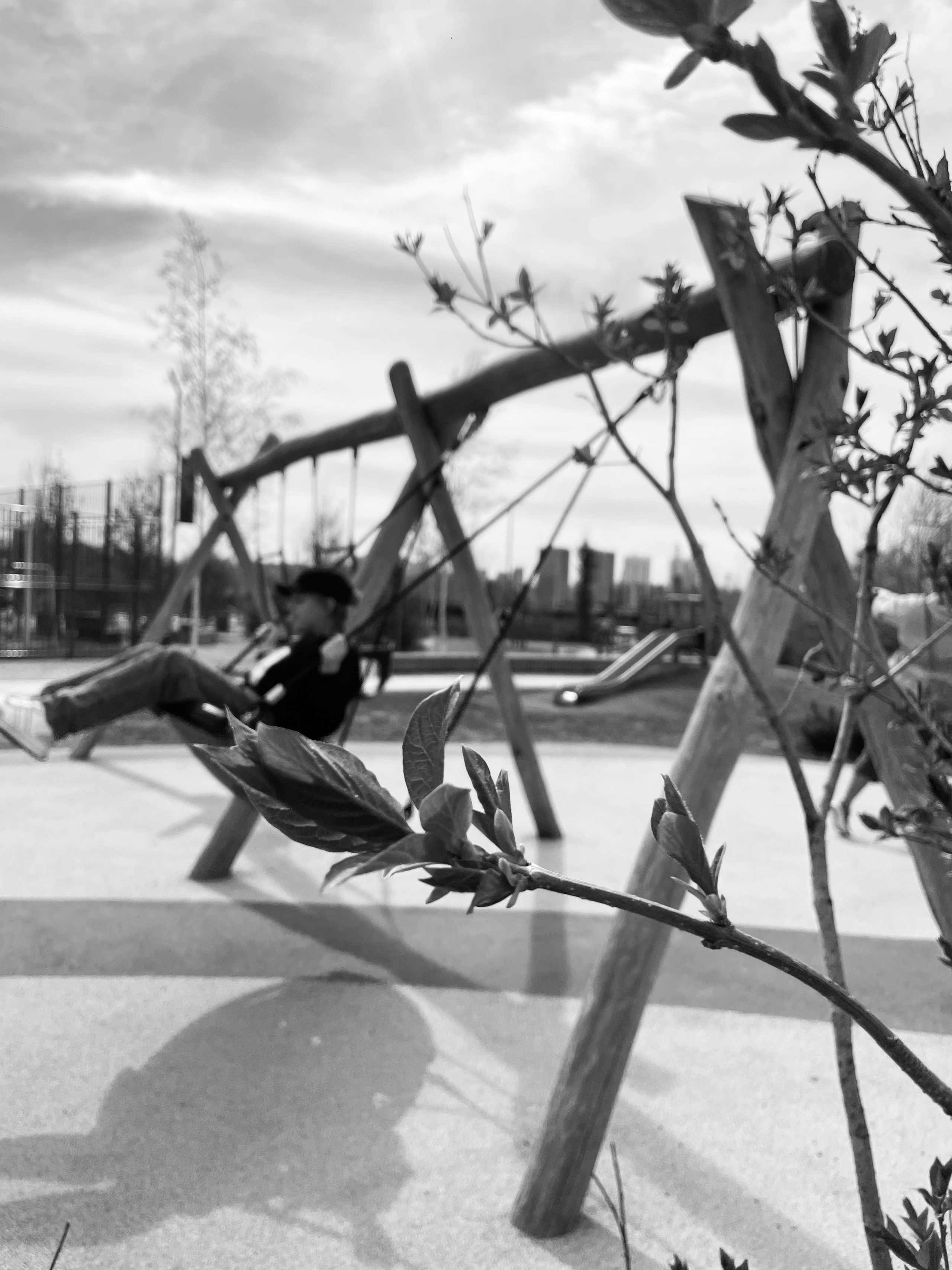 Фотоволонтер