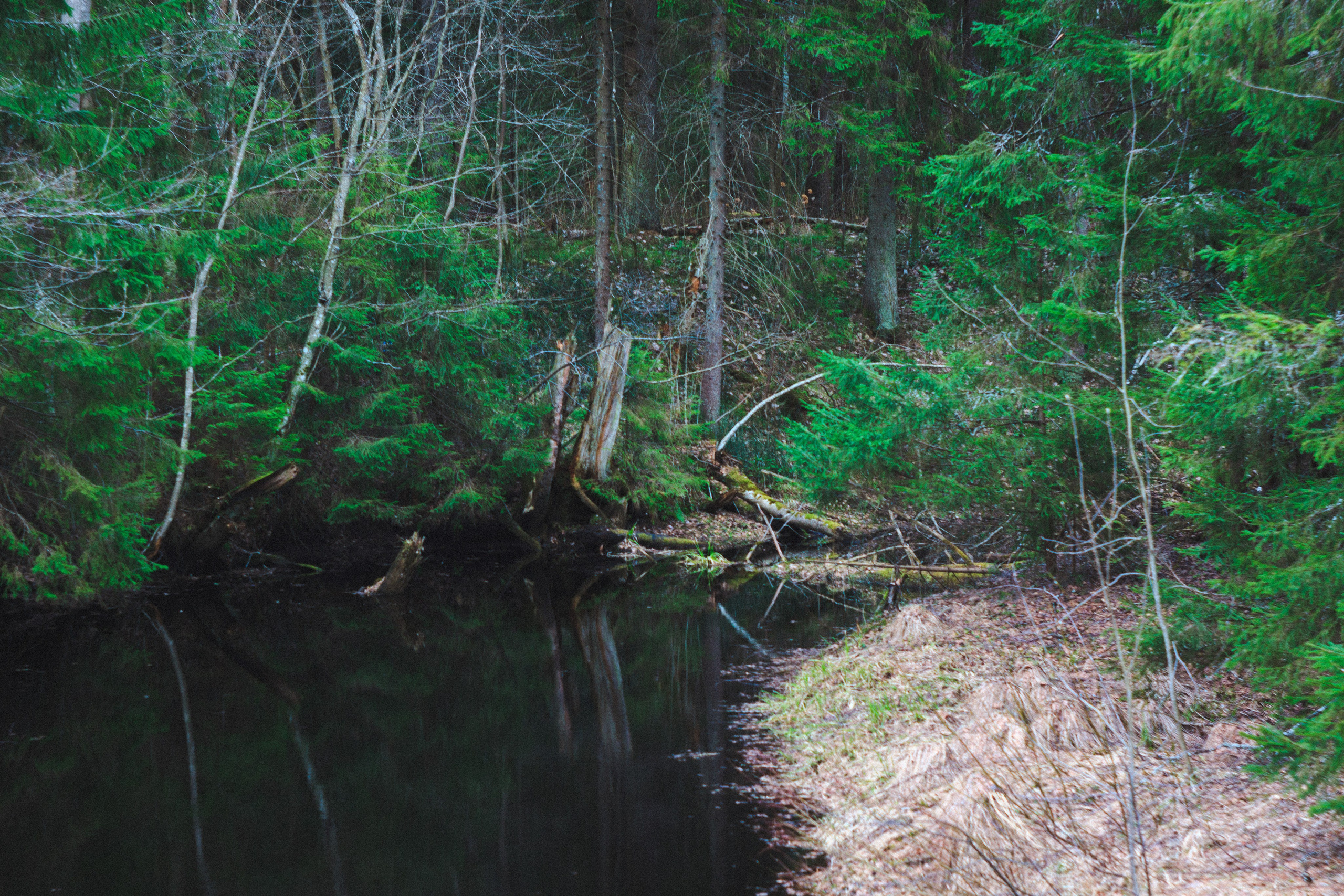 Деревня. Den Mirov — Photographer, Musician