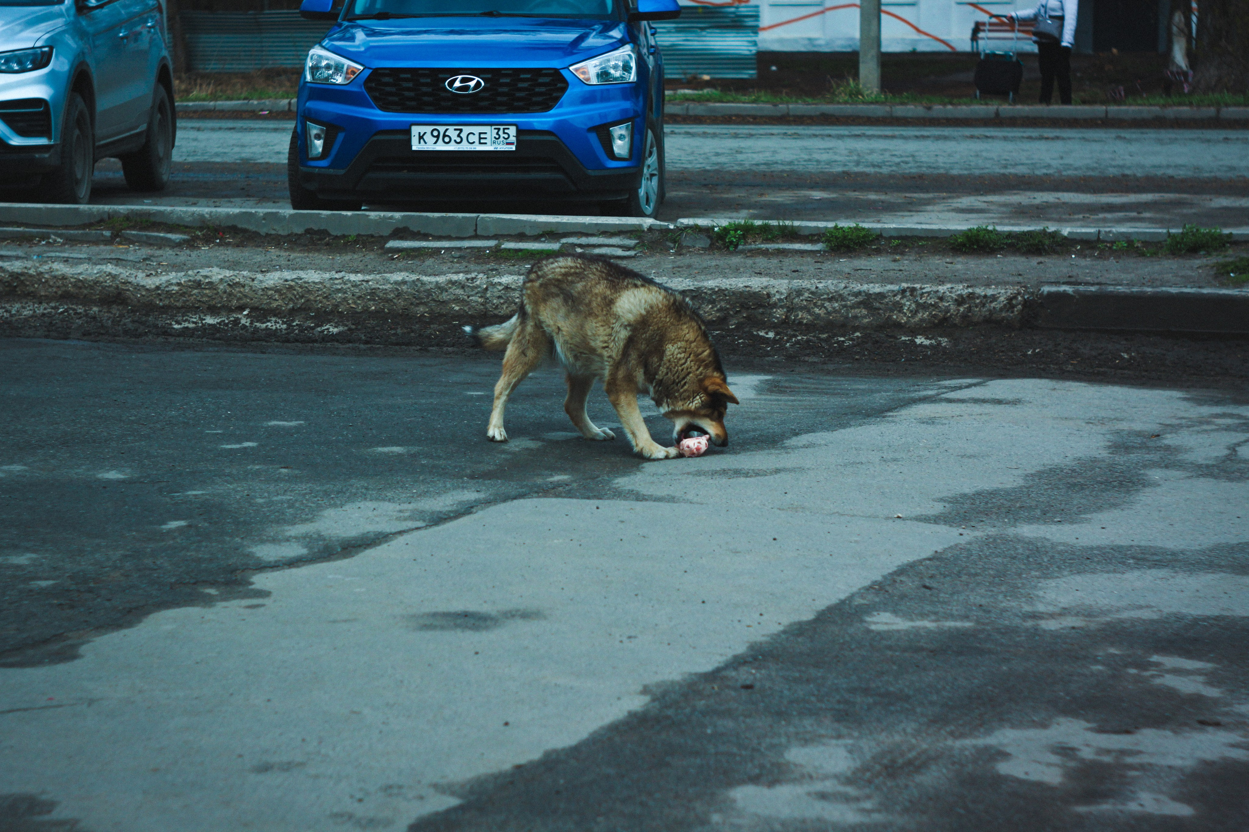 Градус смелости. Den Mirov — Фотограф, Музыкант