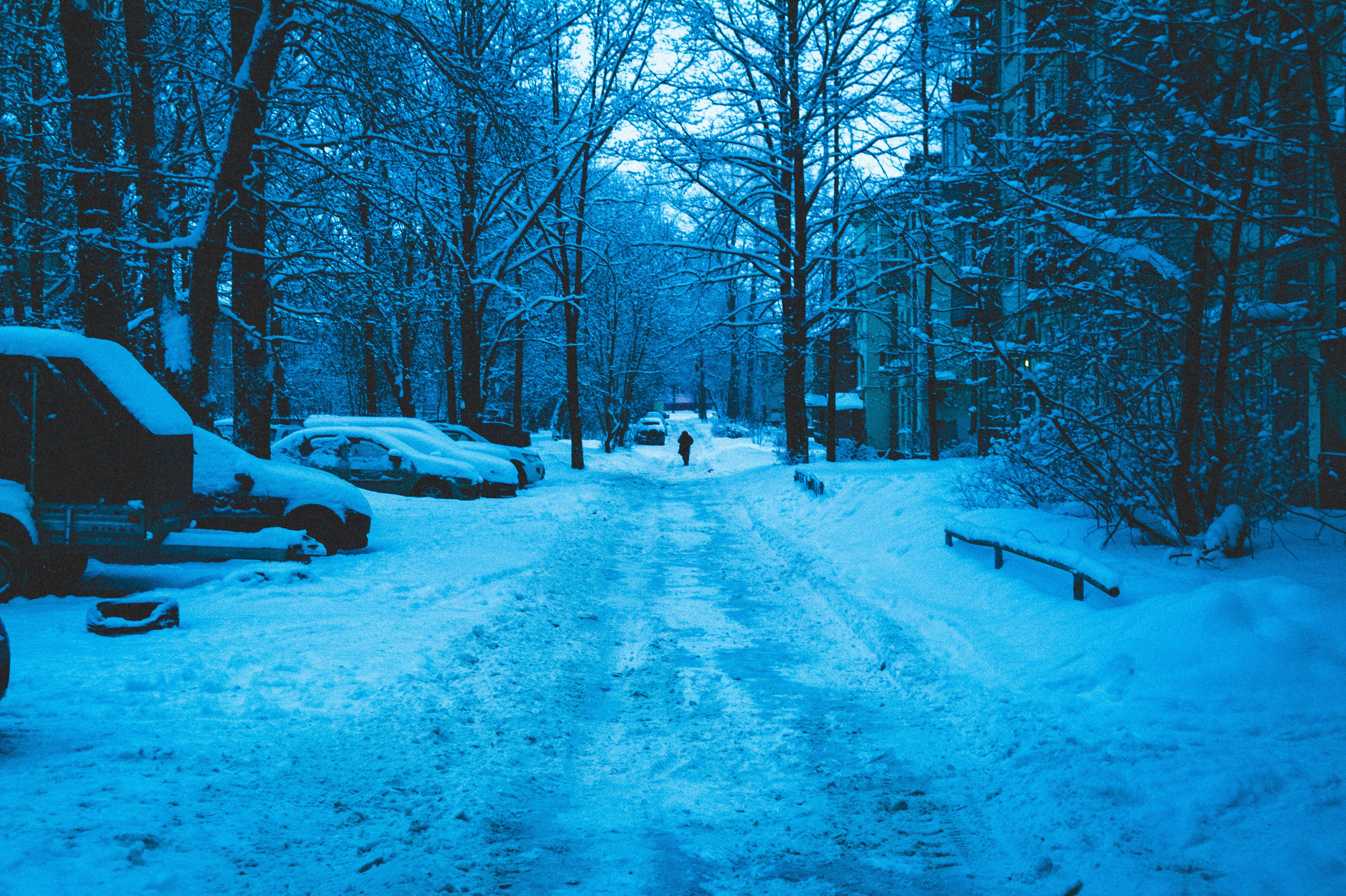 24.35. Den Mirov — Photographer, Musician