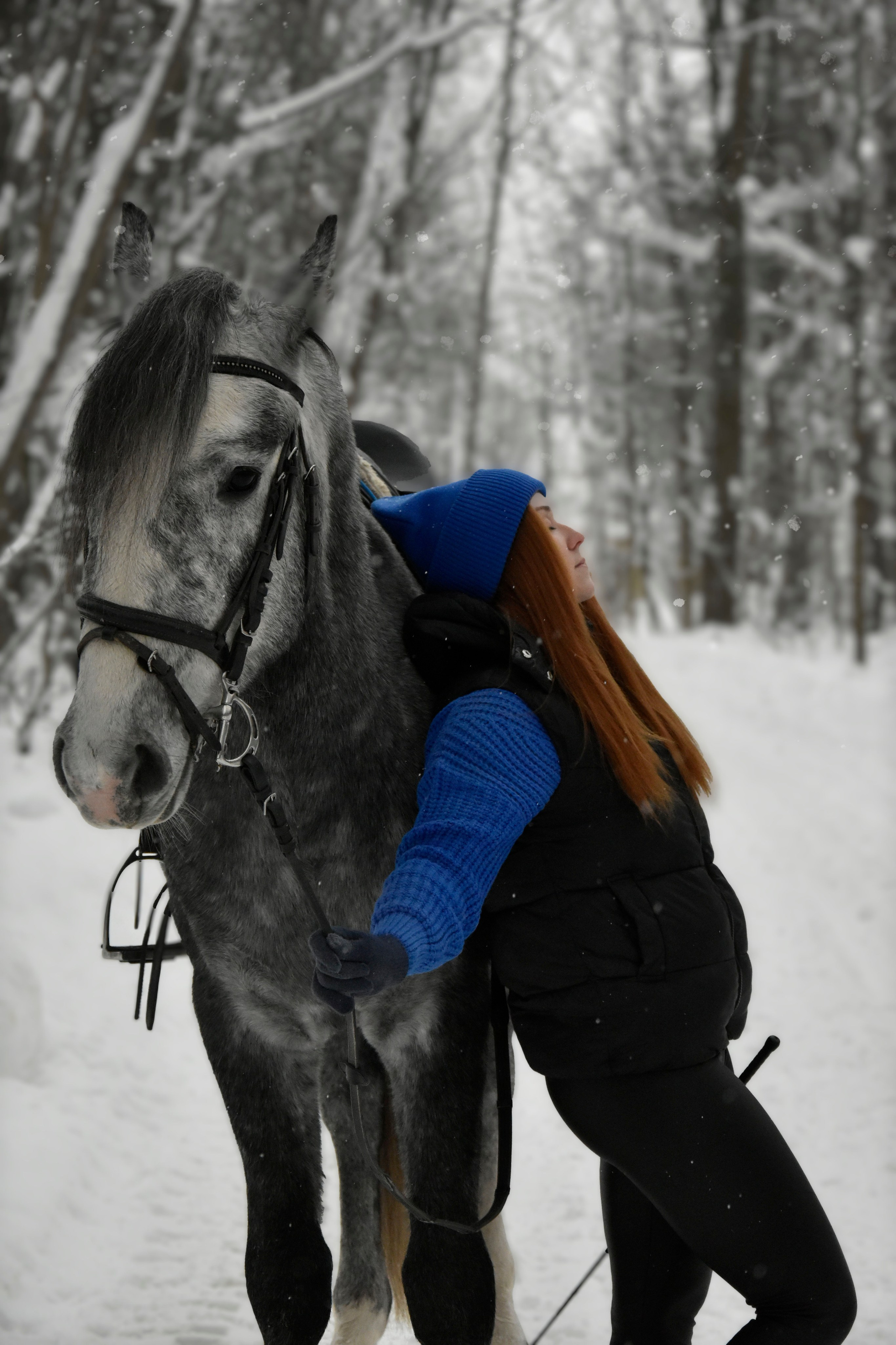 Владислава и Хантер. Фотосессия. Конный фотограф Москва