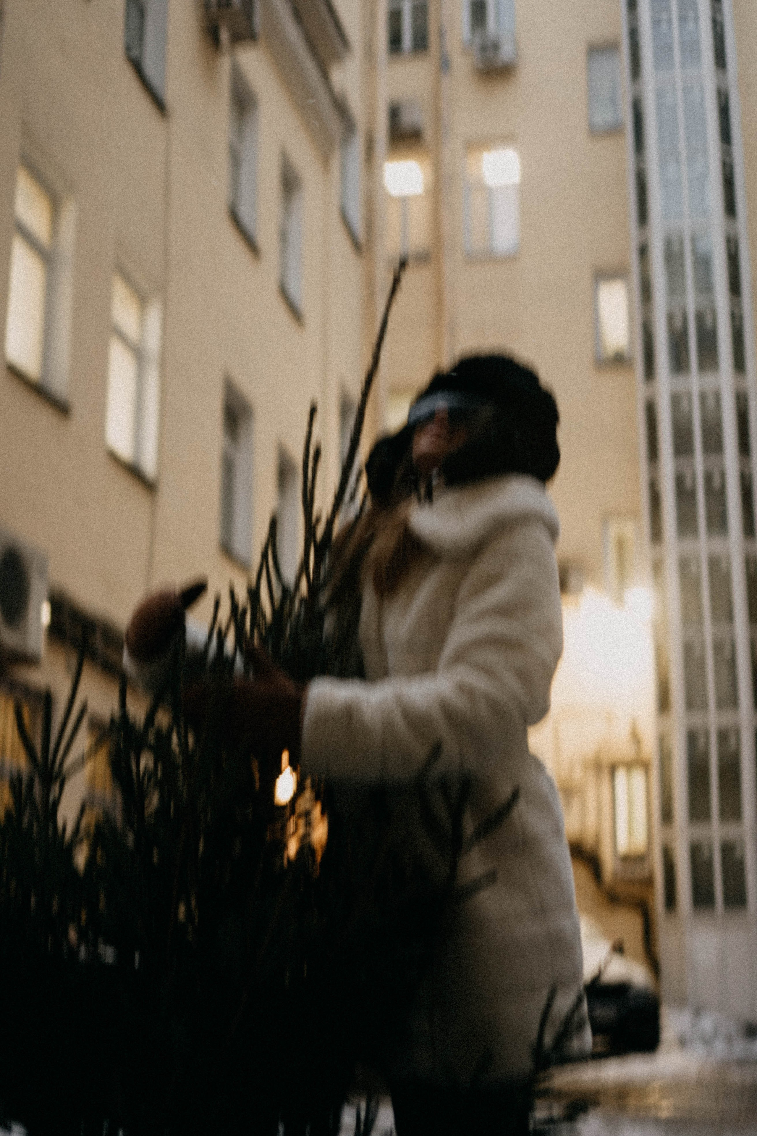 Новогодняя. Профессиональный фотограф, Санкт-Петербург — Виктория Богомолова