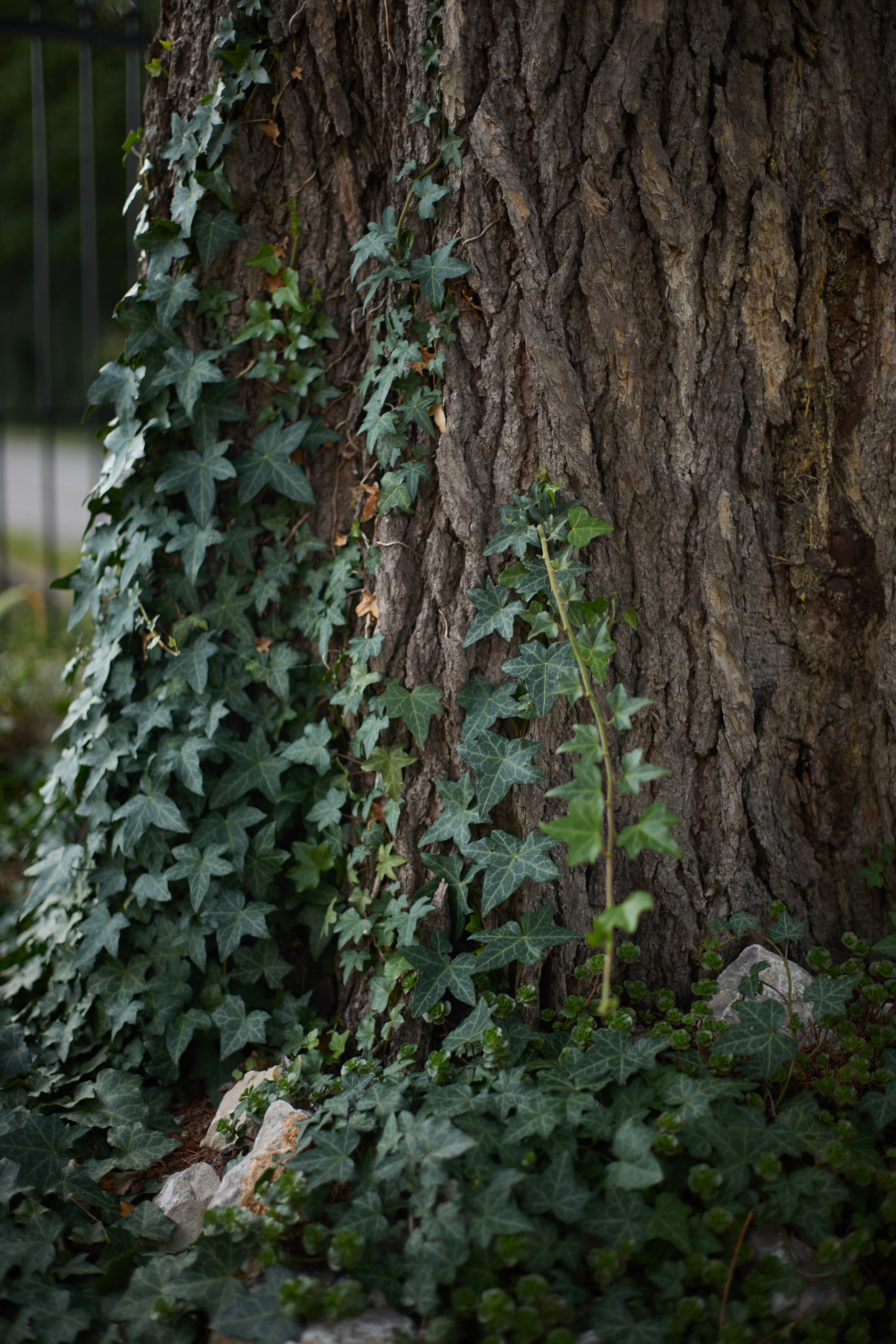 France (Provence & Paris) Sep'25. Анастасия Зобнинá — фотограф в Санкт-Петербурге/СПб