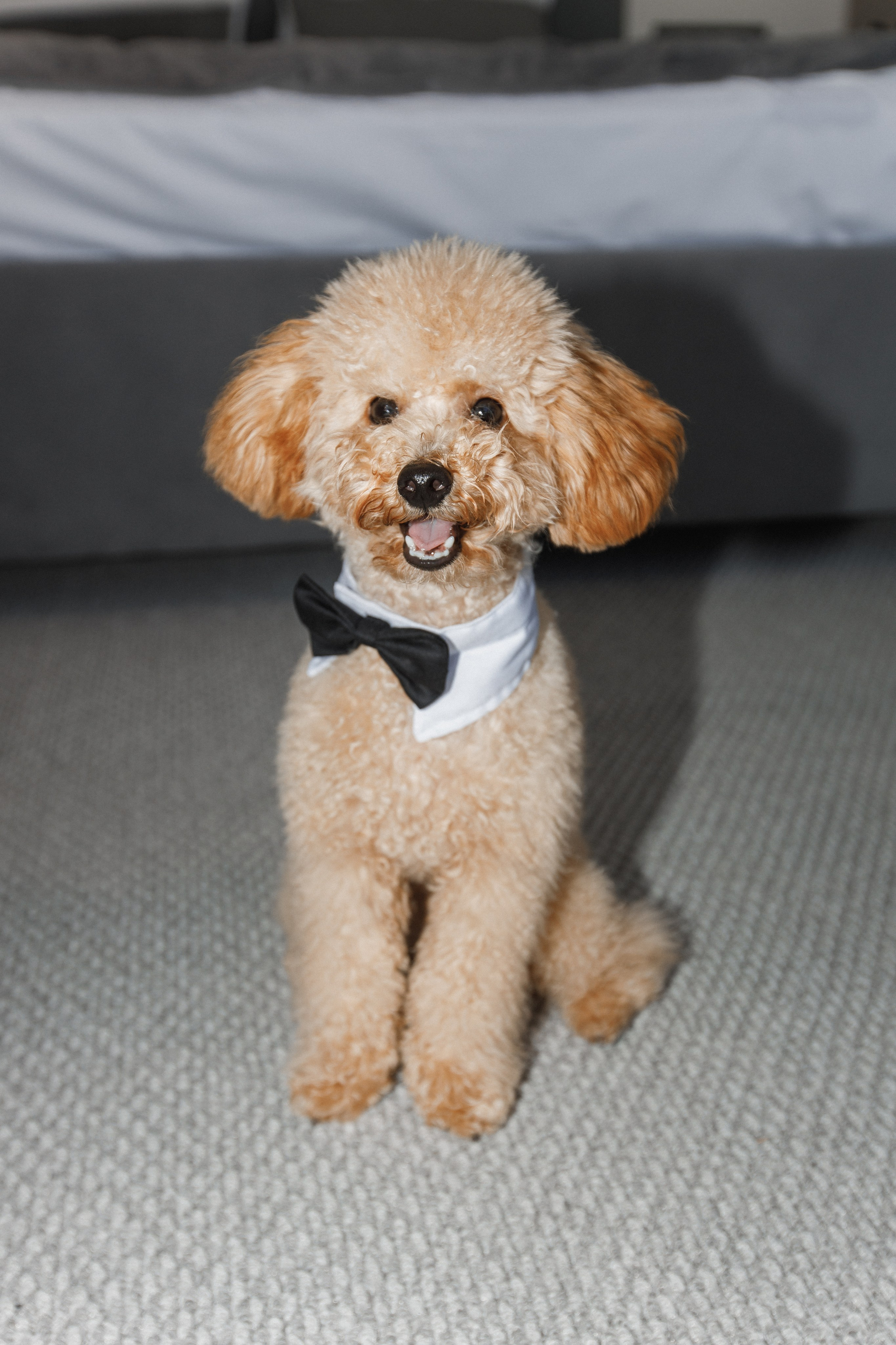 Pavel & Ekaterina. Romanovs | Свадебный фотограф и видеограф Чебоксары Казань Москва