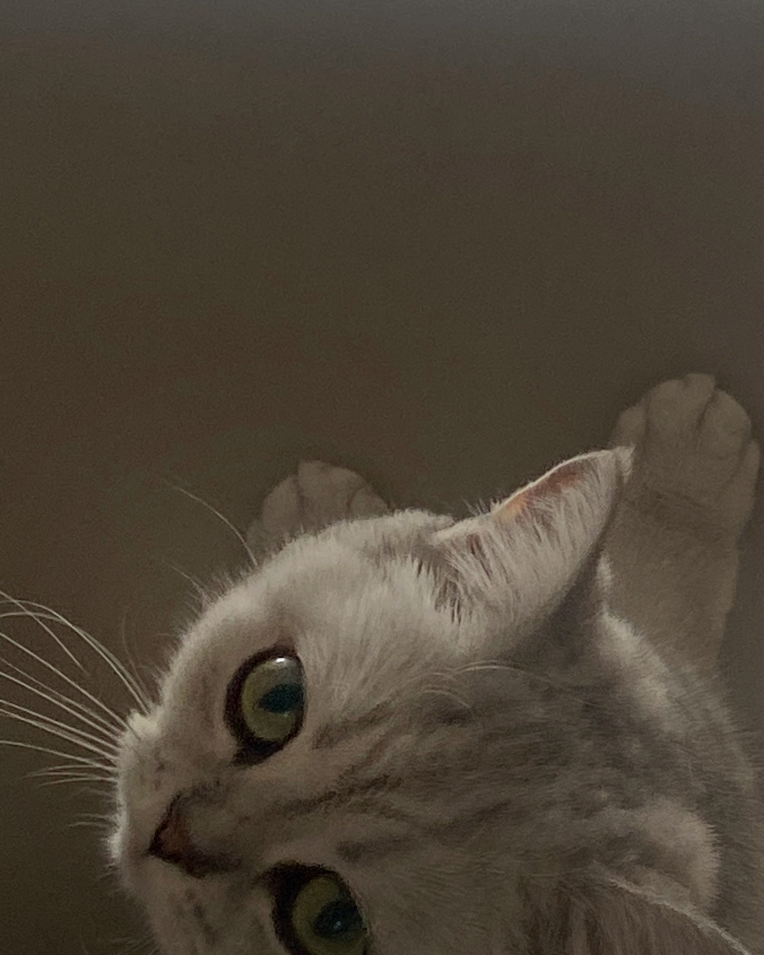 2023. Тащилин Сергей. Фотографии. Жизнь. Хобби