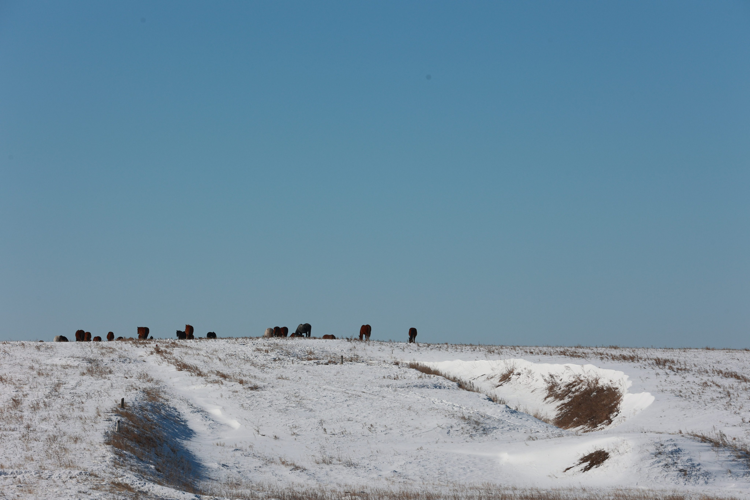 2022. Тащилин Сергей. Фотографии. Жизнь. Хобби