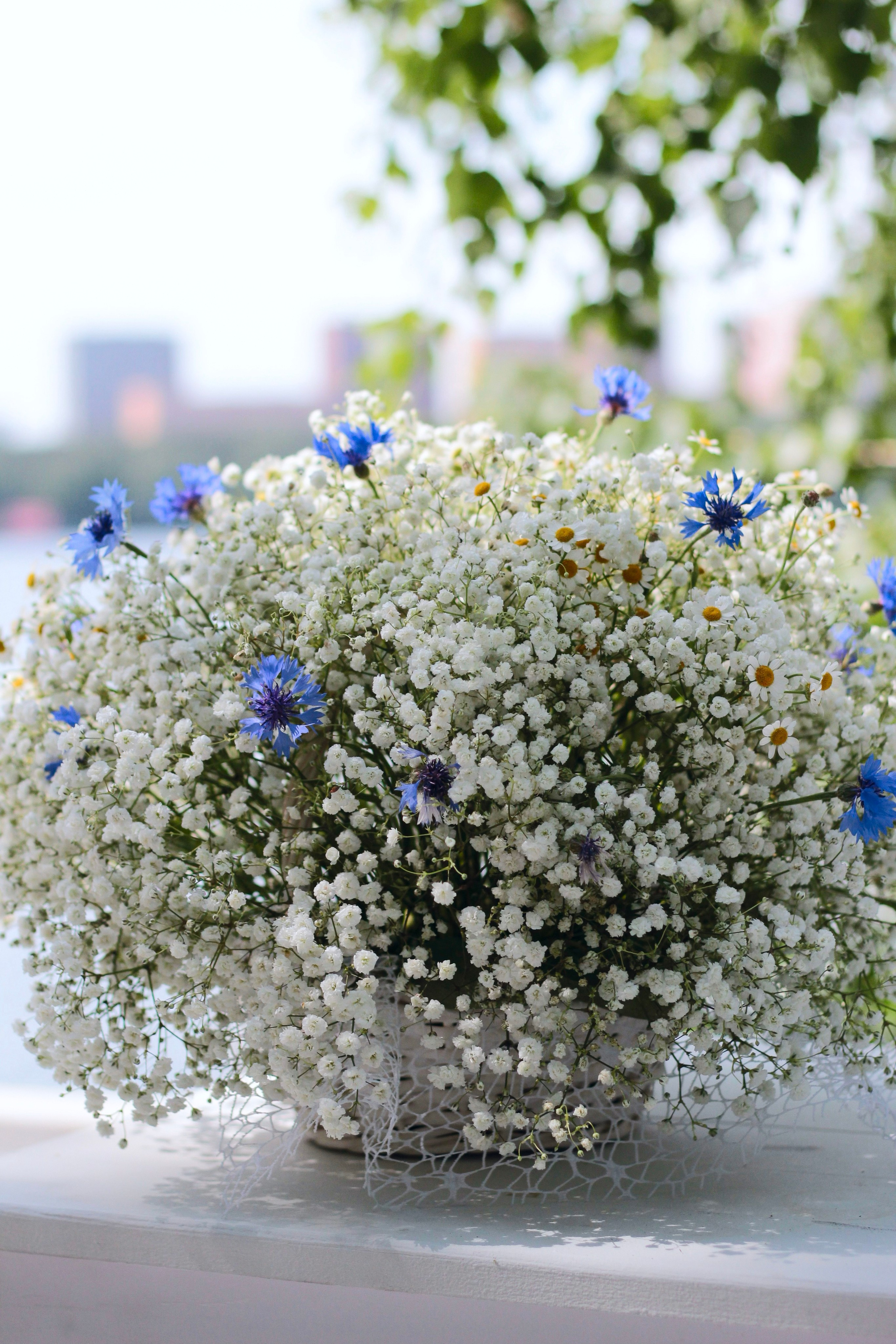 Предметная съемка