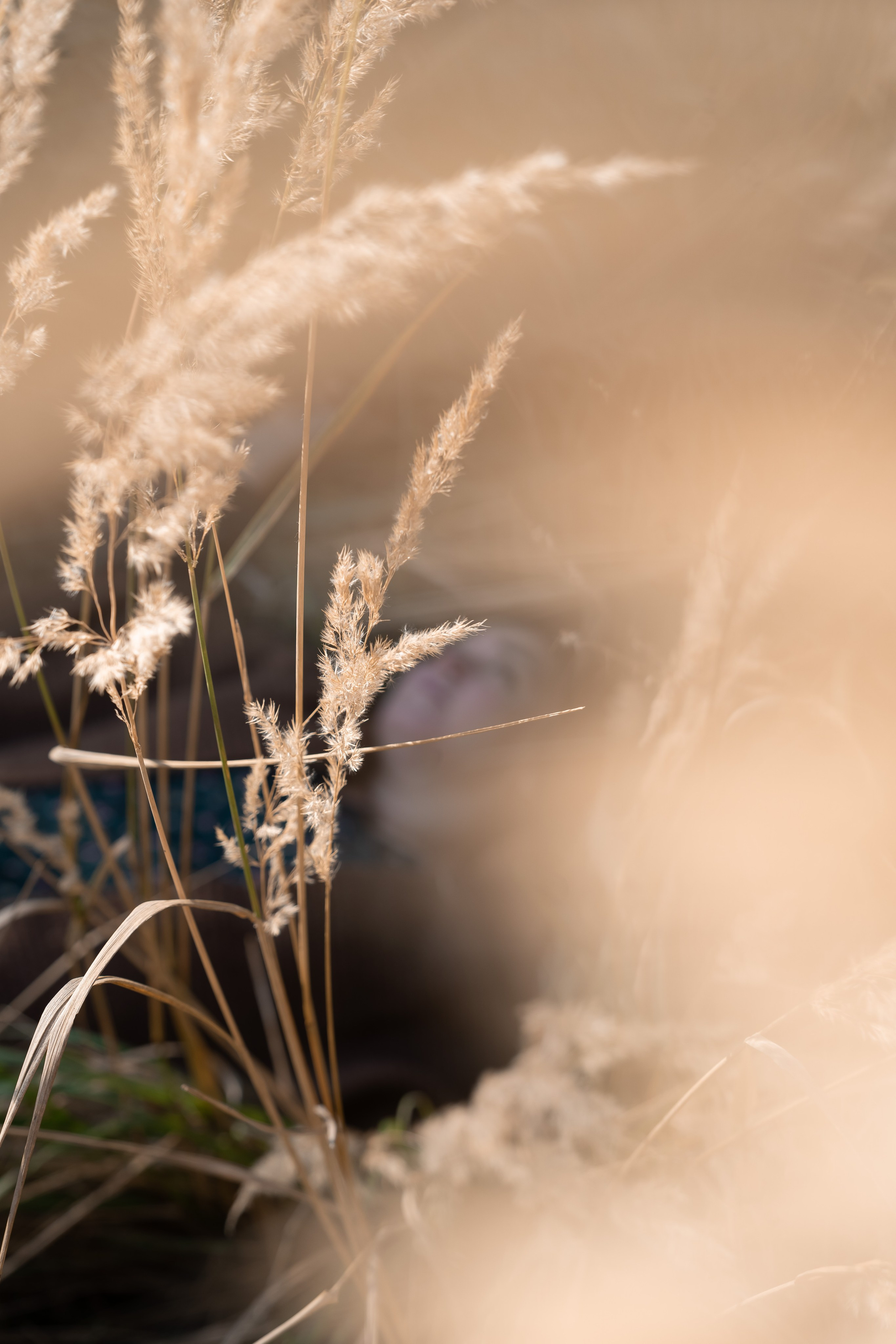 Проект Трилогия. О тебе