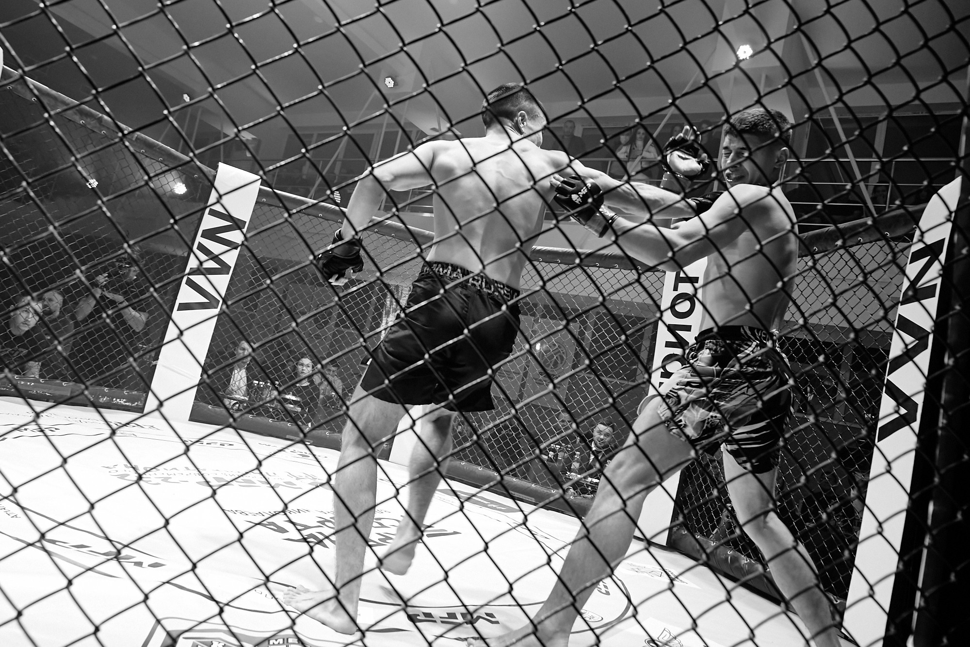 Спортивный Фотограф спорт мероприятие Владивосток единоборства ММА 