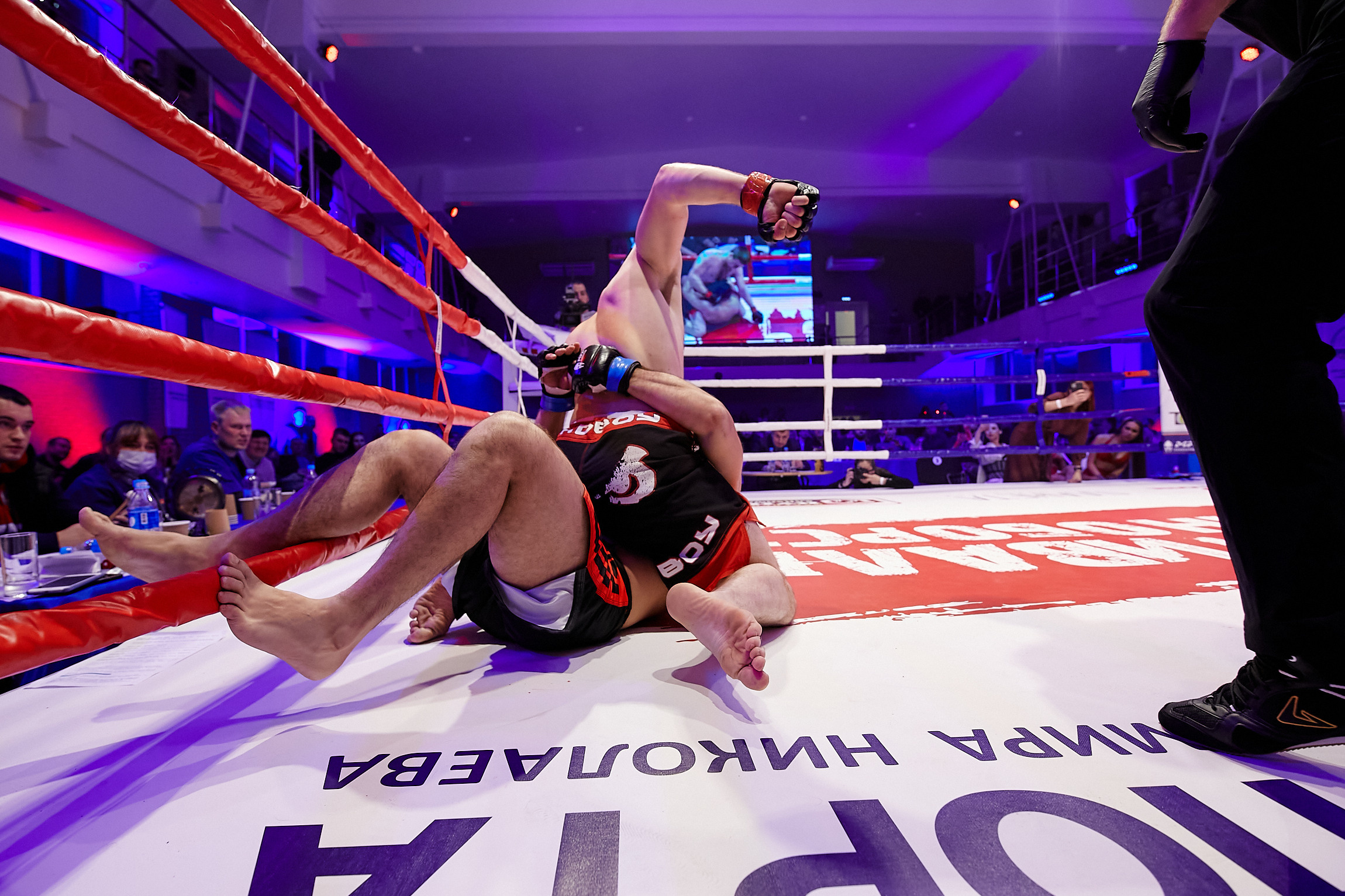 Спортивный Фотограф спорт мероприятие Владивосток единоборства ММА 