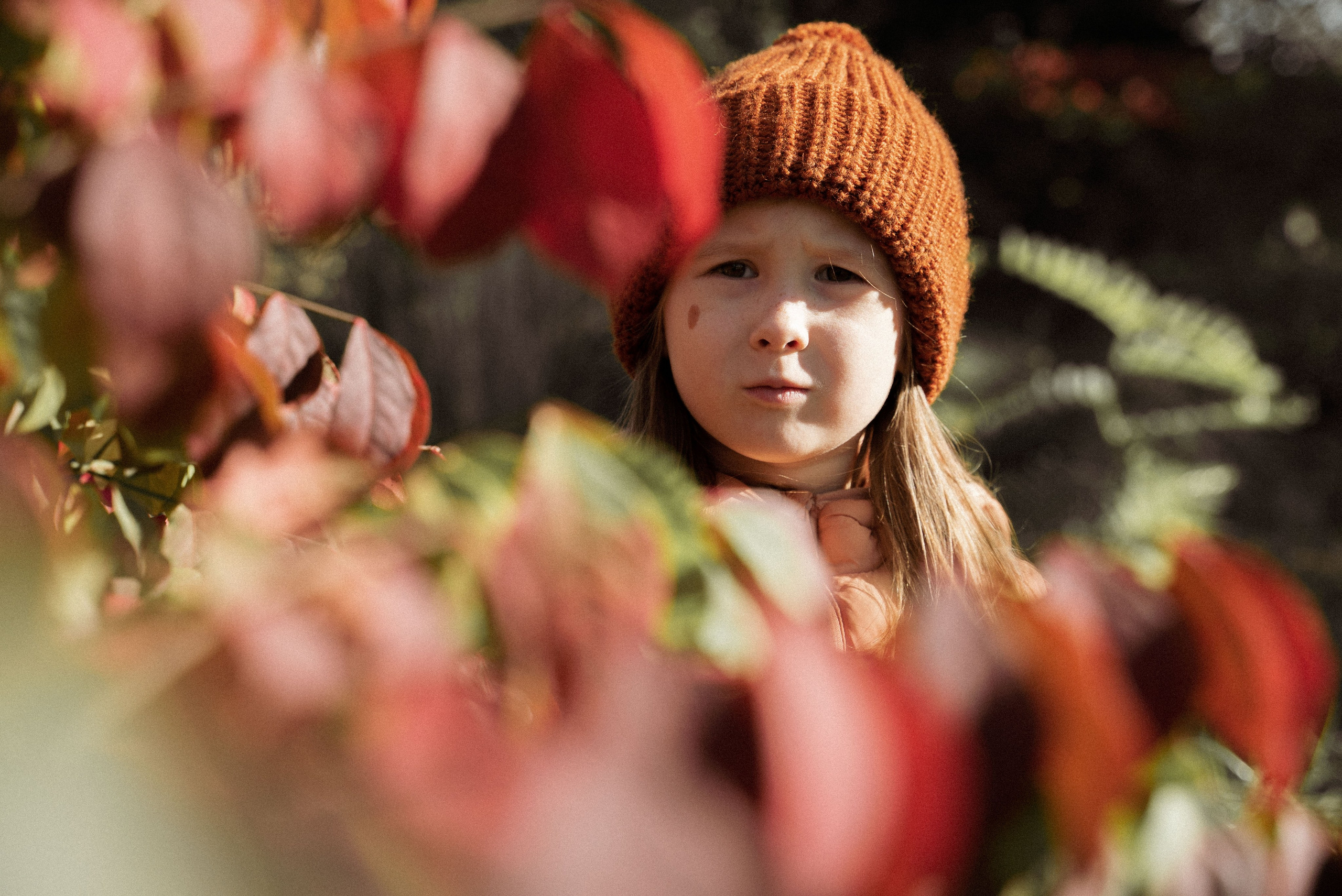 Золотая осень. Видеограф Осинина Татьяна — видеосъемка в Москве