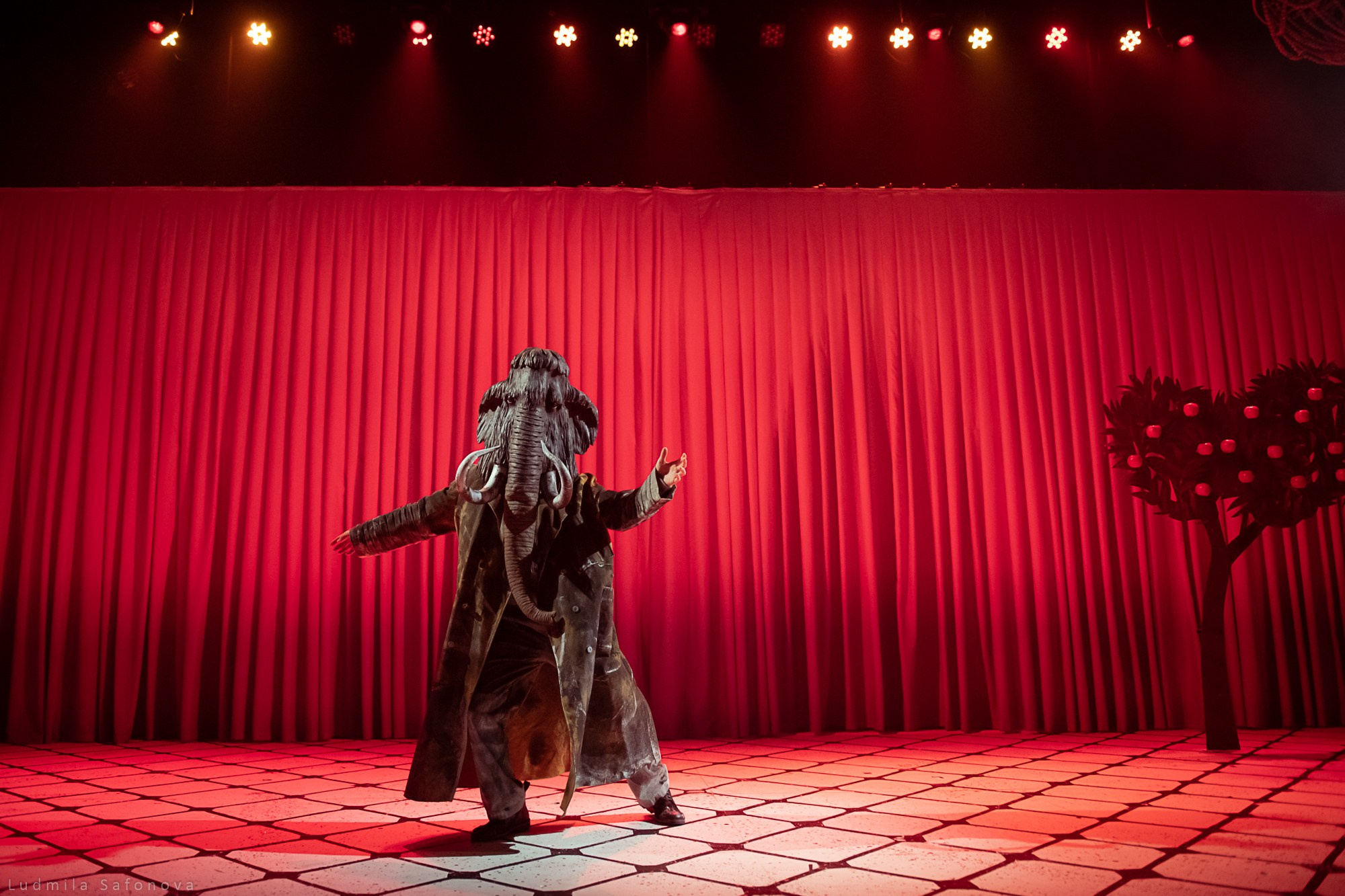 МХТ им. Чехова. Морж, учитель и поэт. Lucytheatre