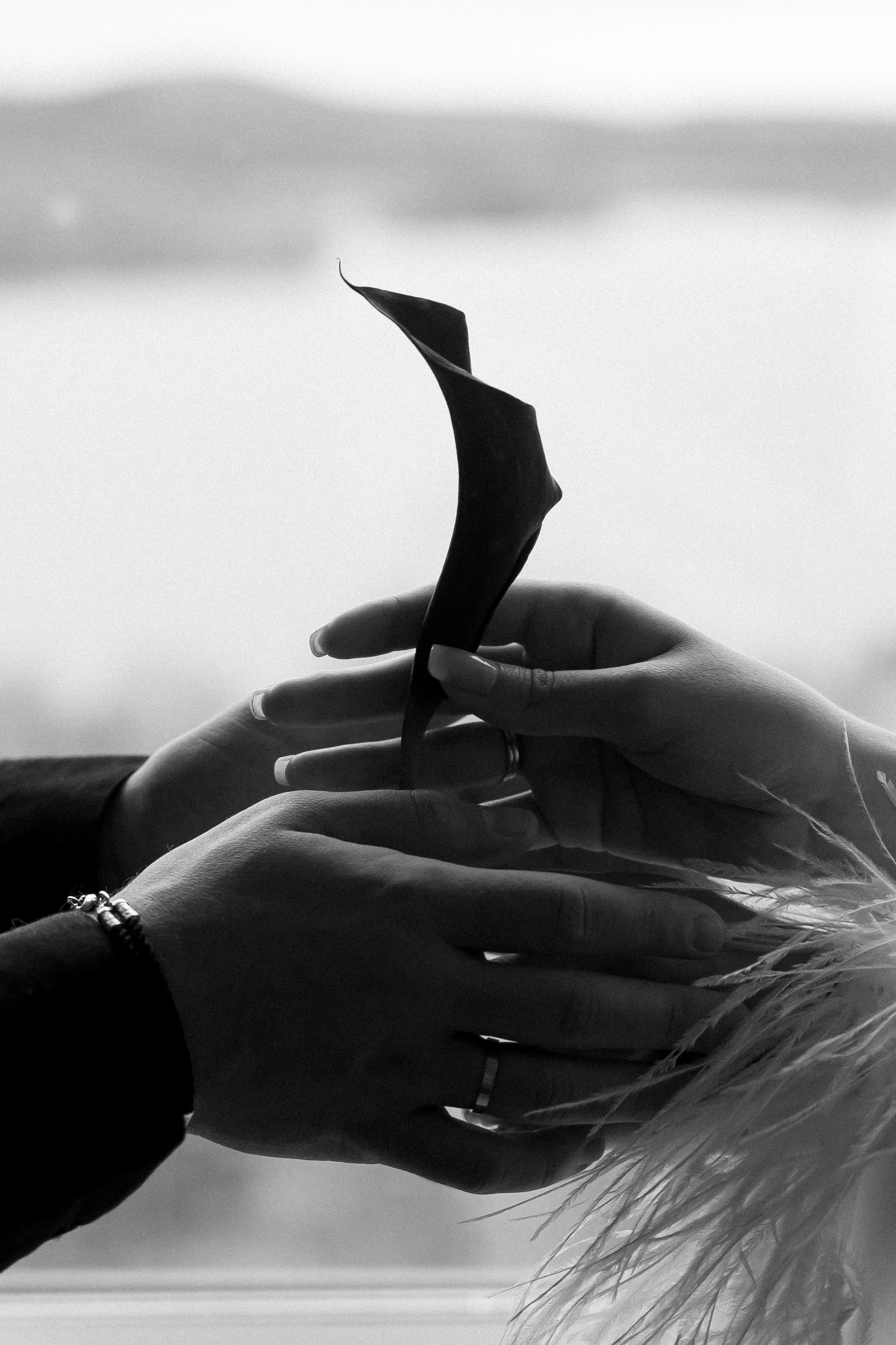 Алексей и Ксения. Фотограф Екатеринбург