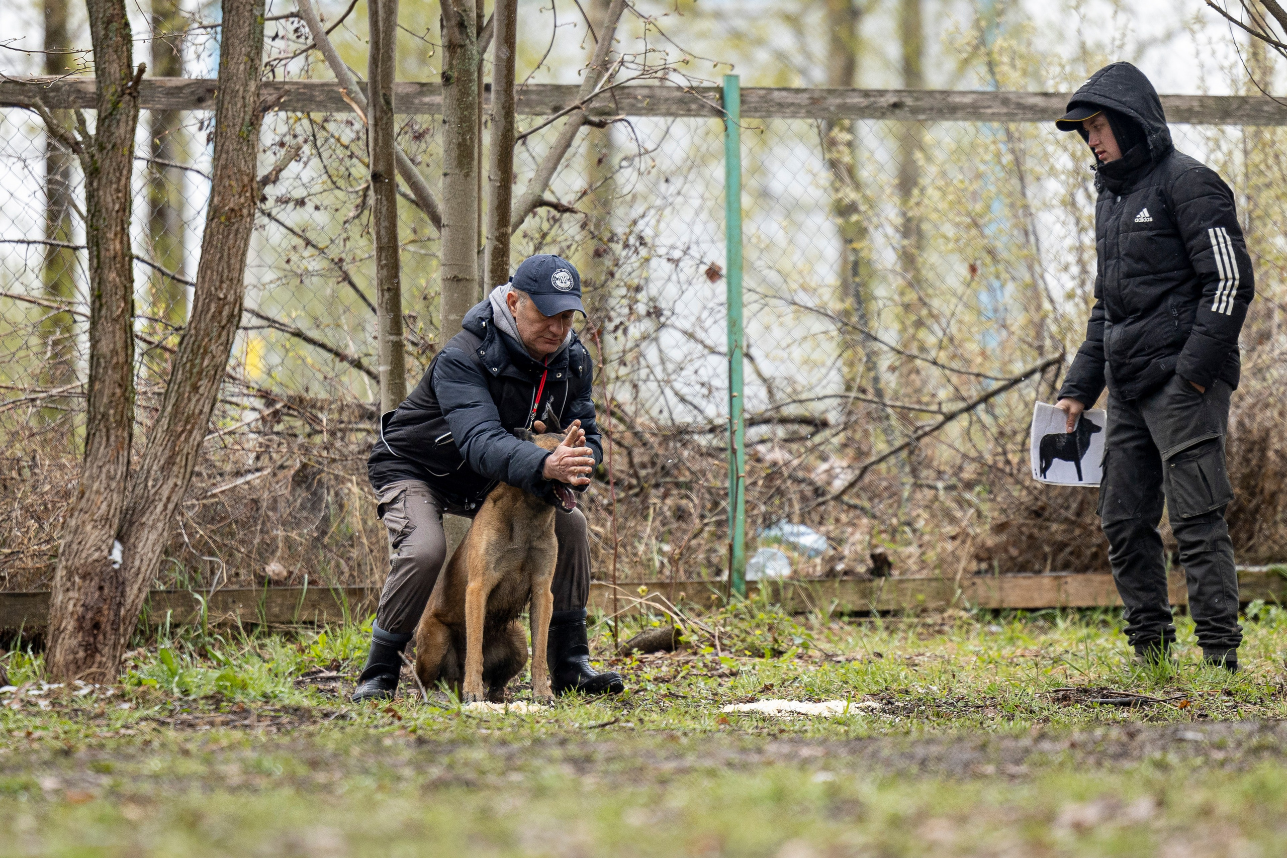 Квалификационные состязания по мондьорингу г. Вологда 11.05.24. Фотограф-анималист Анна Маринич