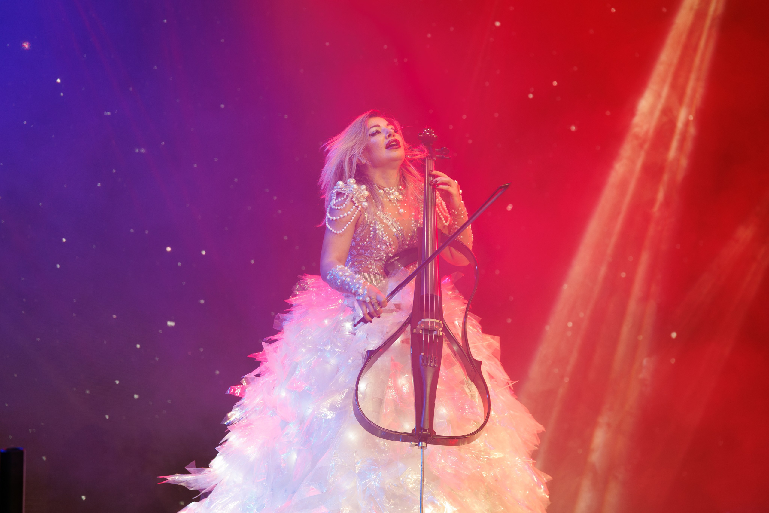 Корпоративы / Форумы. Репортажной, Свадебный, школьный