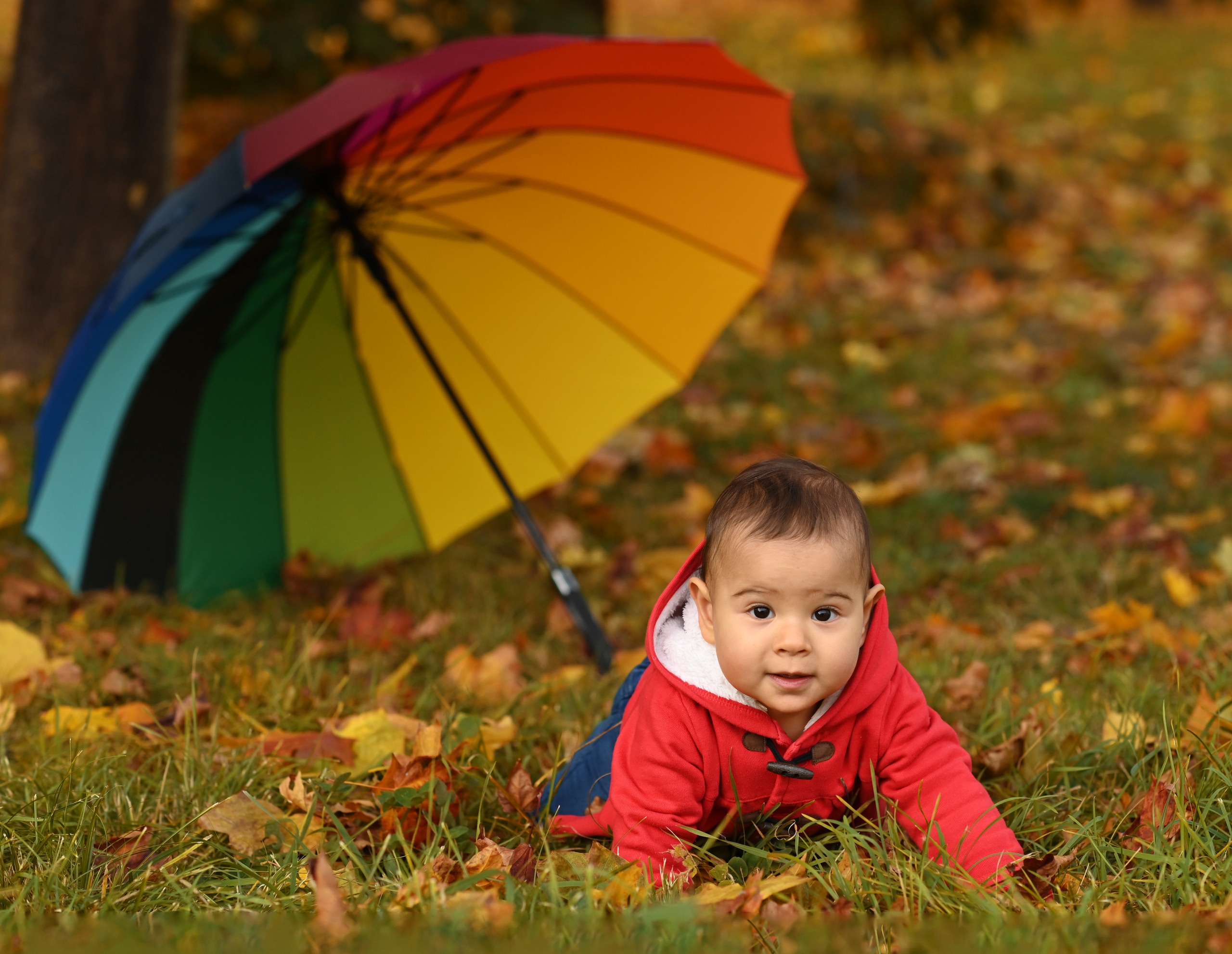 Осенние фотосессии. Свадебный и семейный фотограф в Москве и Подмосковье Татьяна Емцова