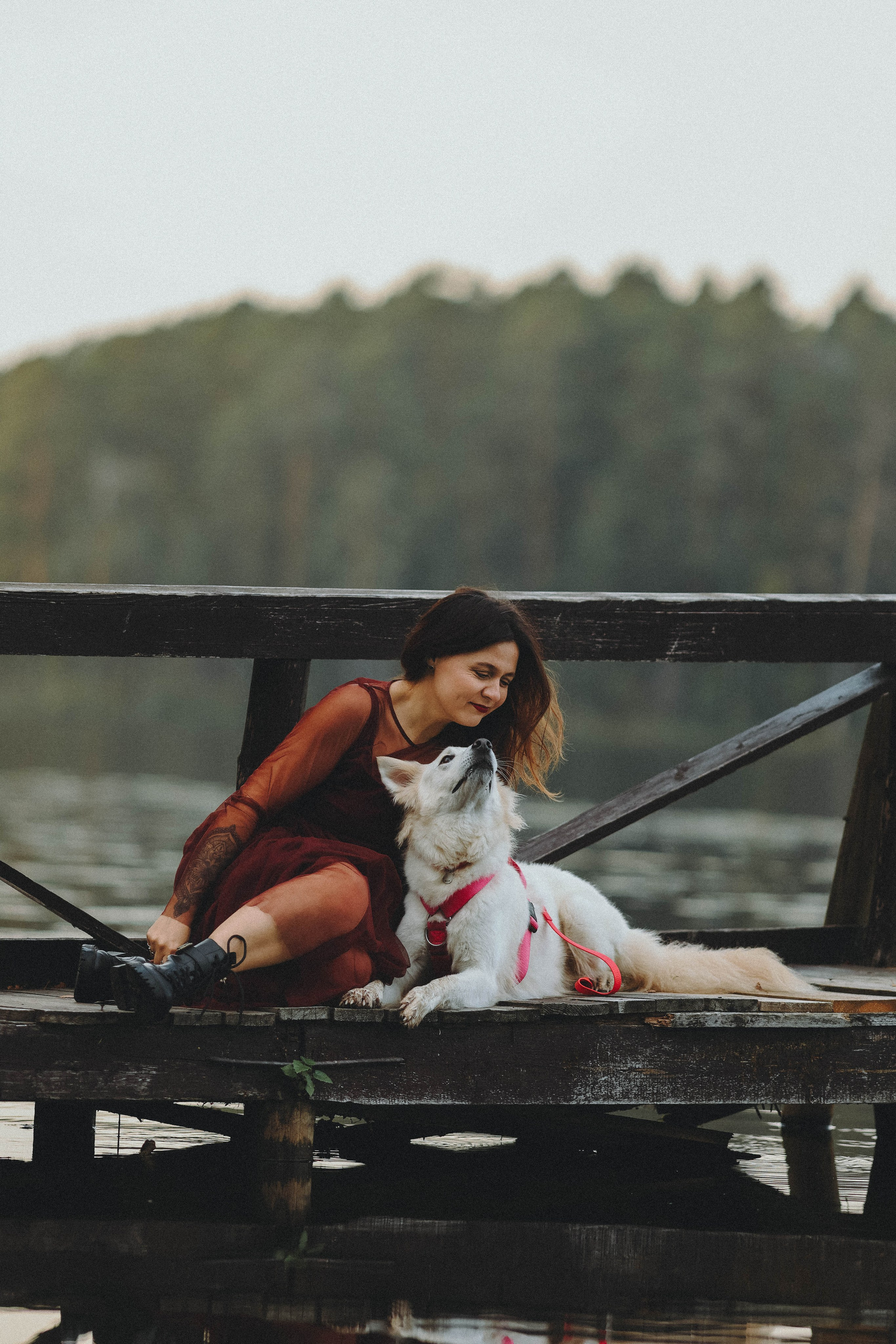 Собаки и их люди. Фотограф- анималист Санкт-Петербург