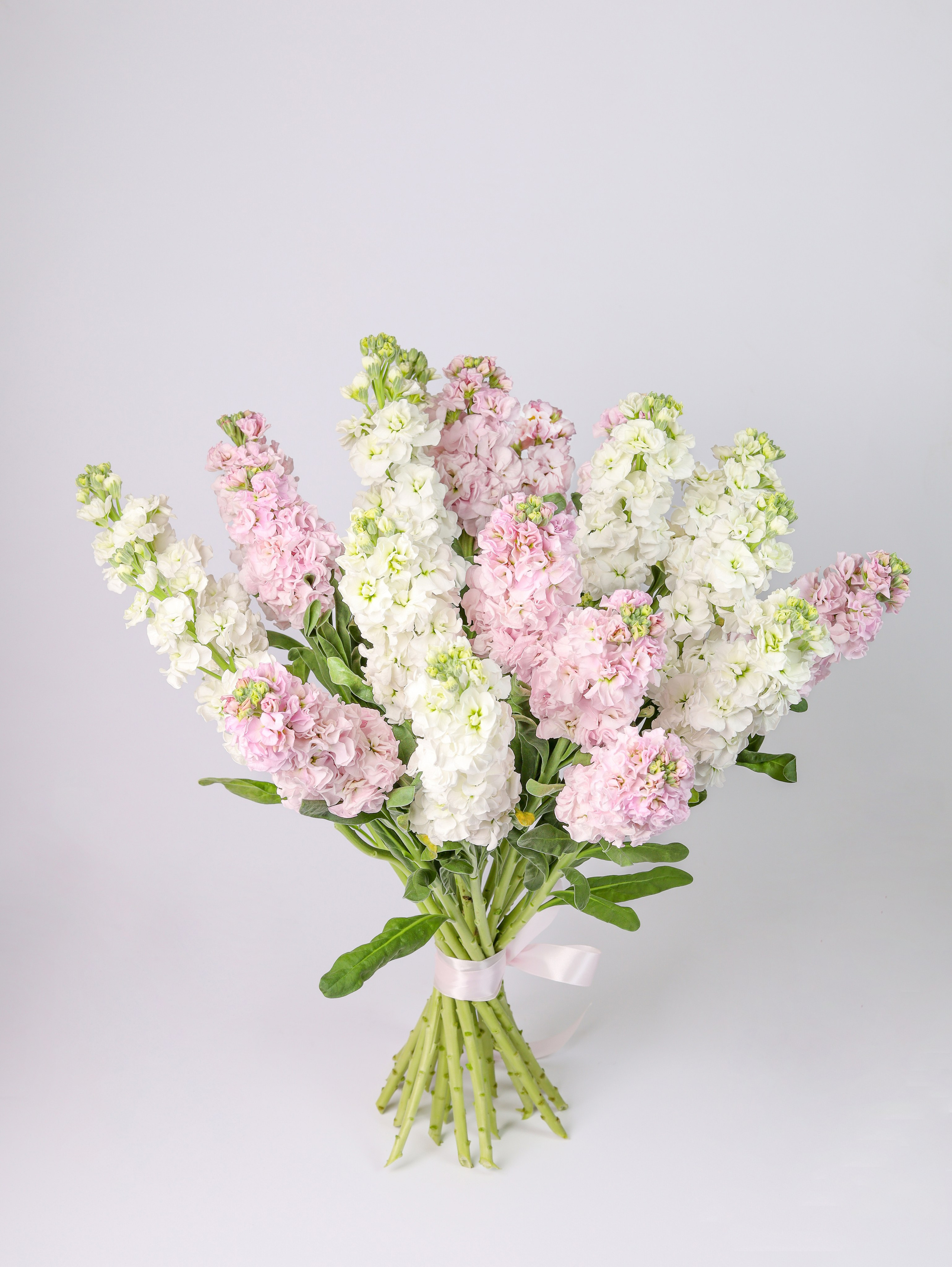 Предметная съемка. Предметный фотограф в Санкт-Петербурге Елена Хлебосолова