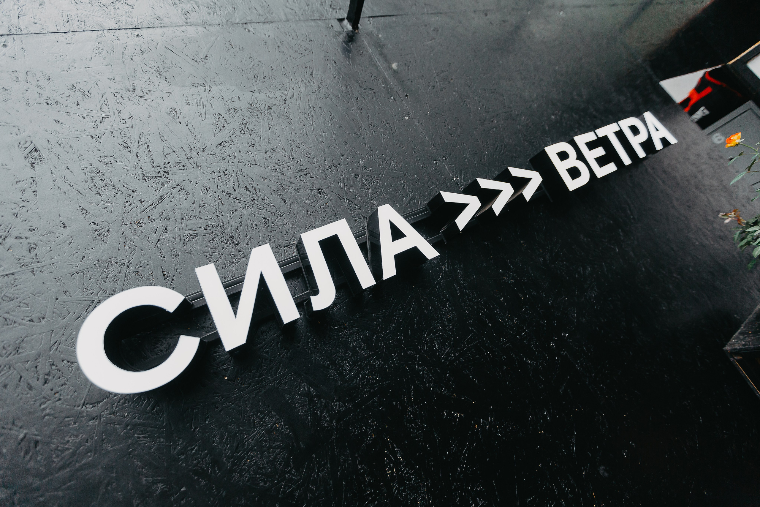 Сила ветра. Репортажный и свадебный фотограф Ярославль, Москва Сдобников Андрей