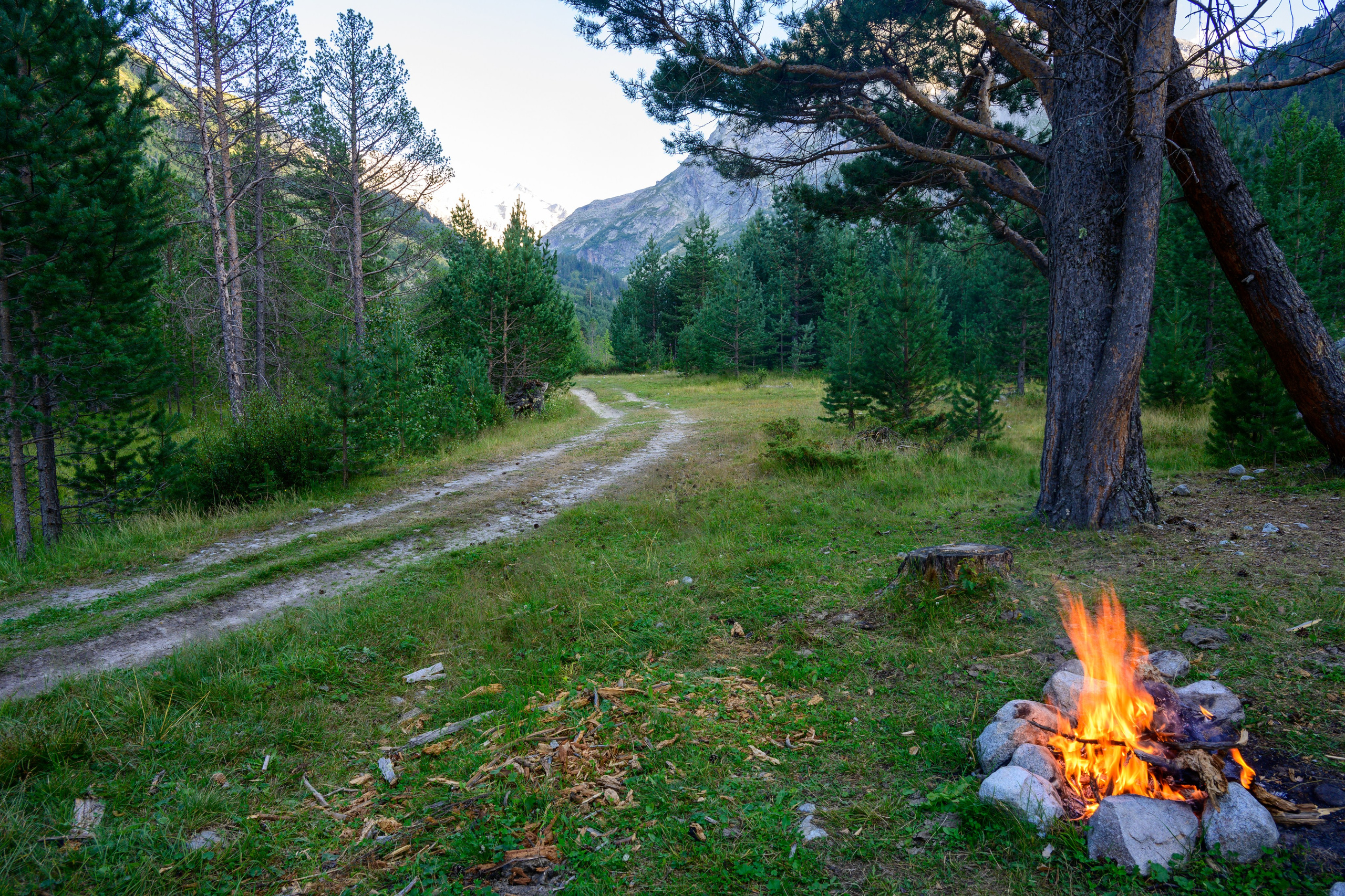 Экспедиция 2025