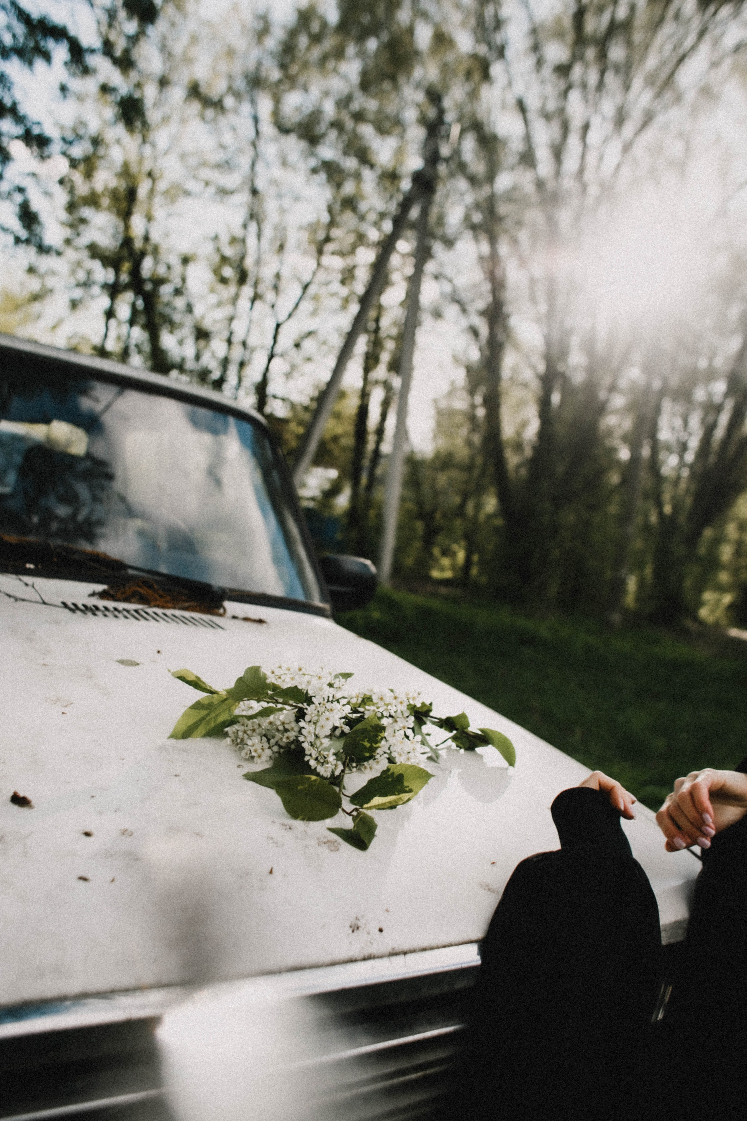 Таня. Весна. Цветы. Фотограф в Нижнем Новгороде