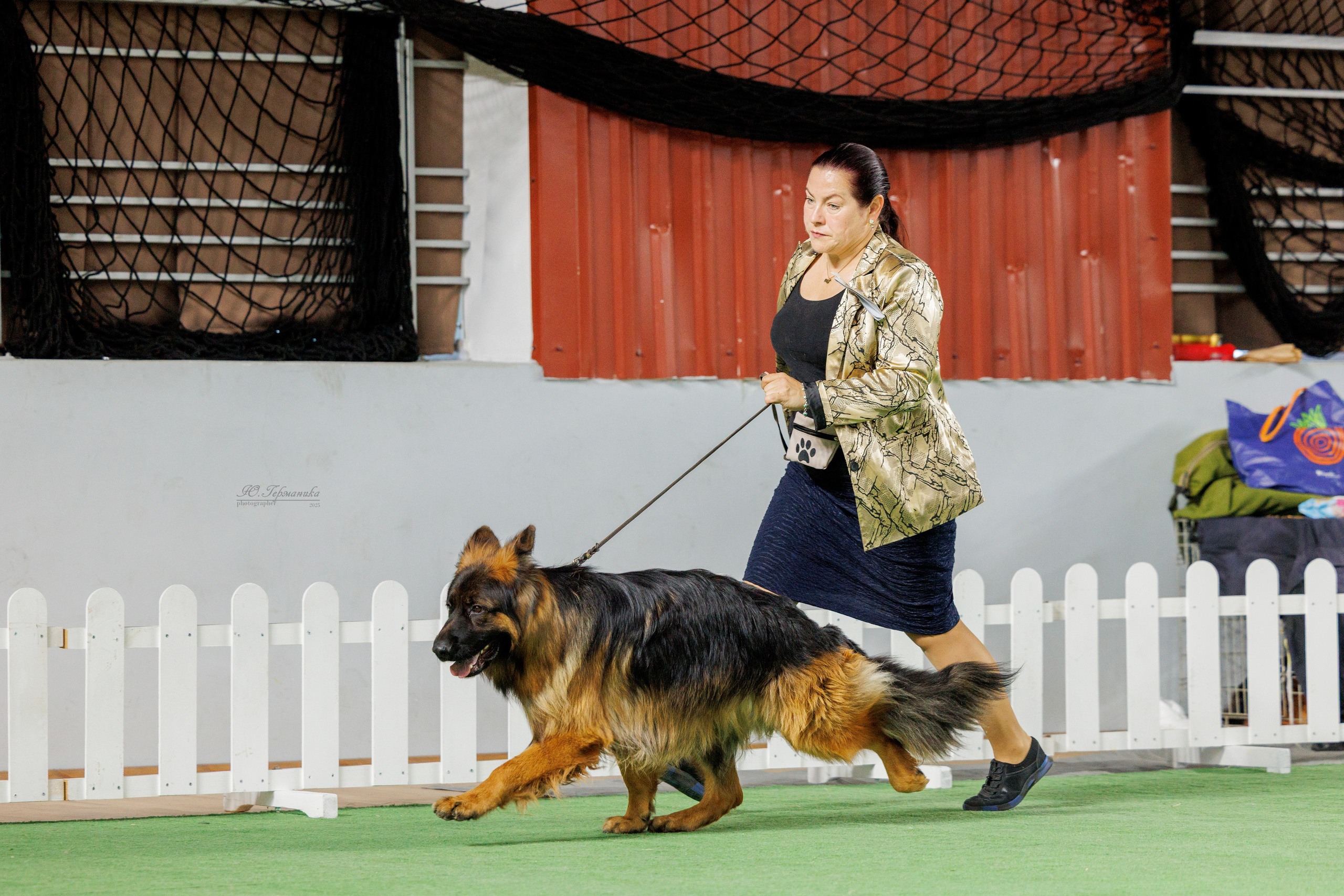 Телави 11-12.10.2025. Фотограф-анималист Юлия Германика