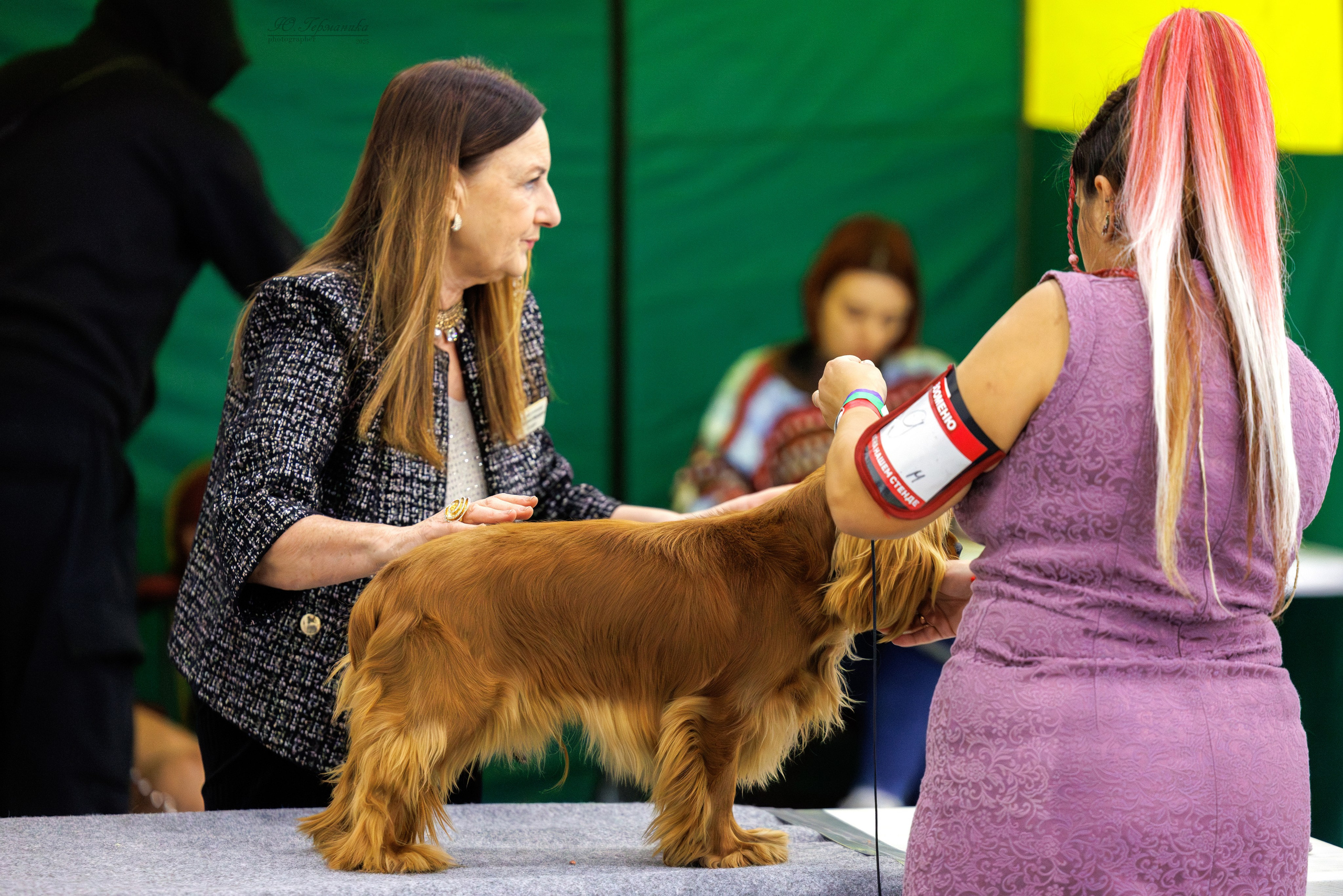 Питер 12-13.12.2025. Фотограф-анималист Юлия Германика