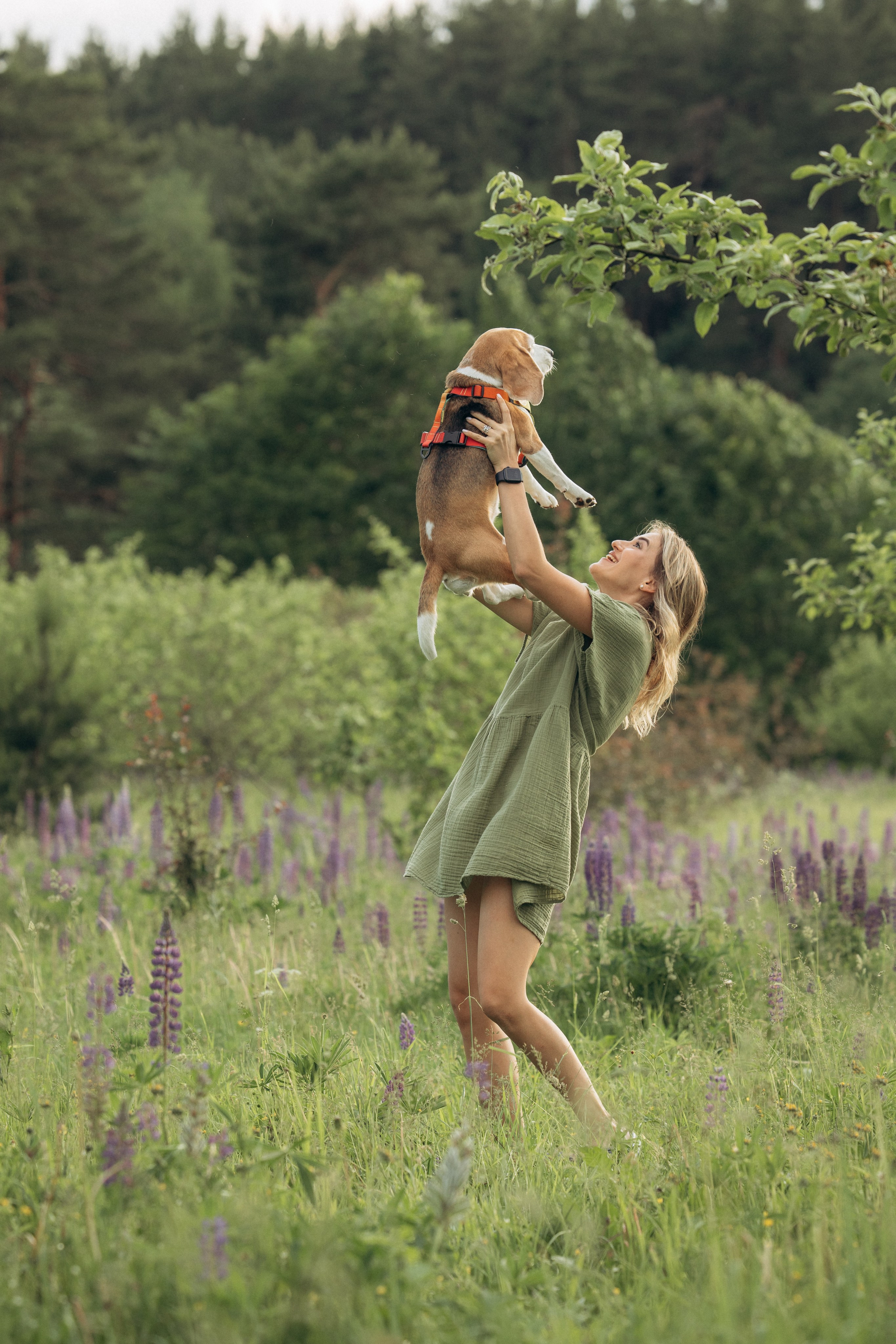 Кристина и Нора. На закате дня. Фотограф анималист в Казани Алина Сулейманова. Фотограф животных