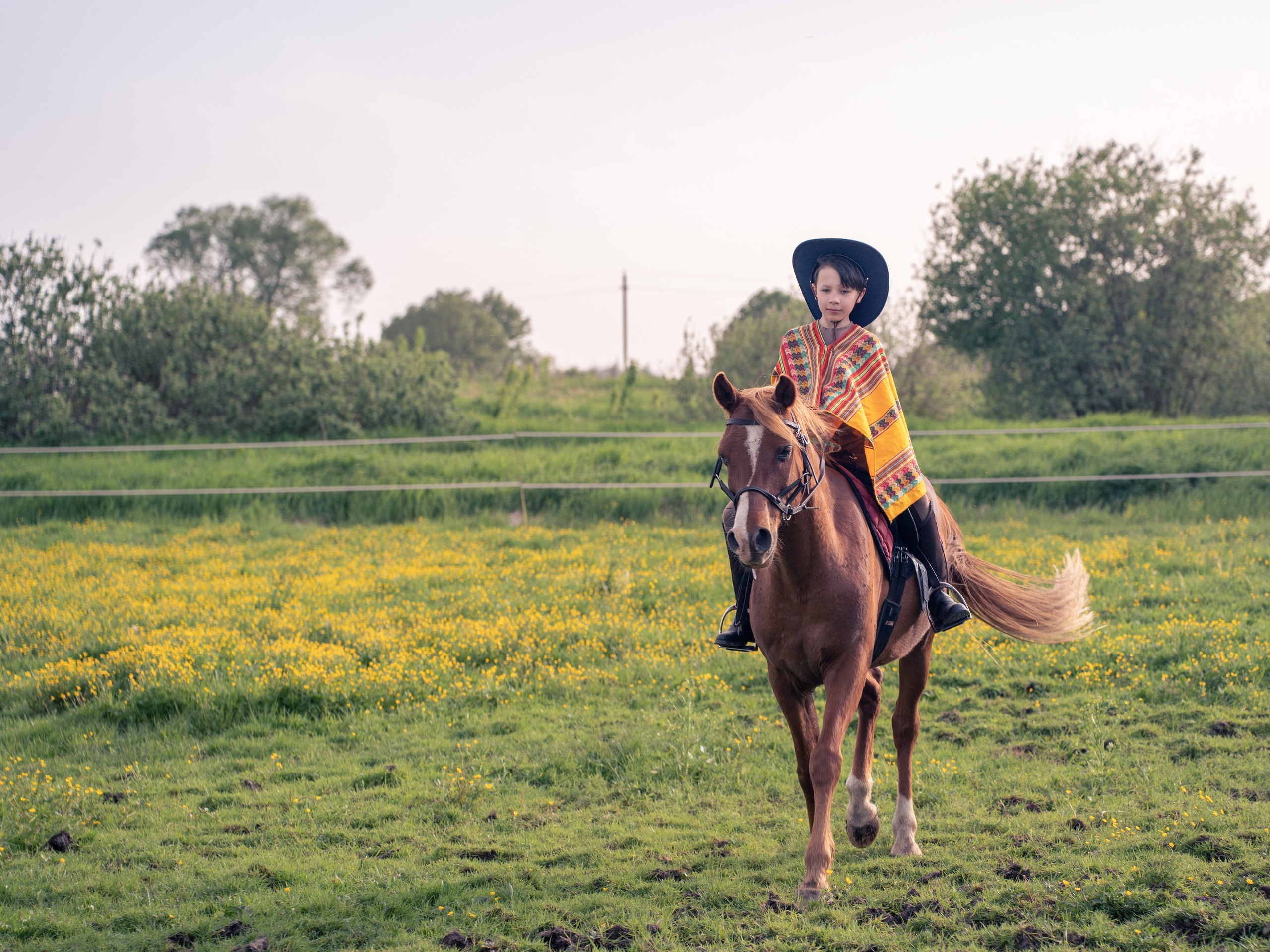 Выйти в лето в поле с конем. Видеограф и фотограф в Москве Анастасия Рябчикова