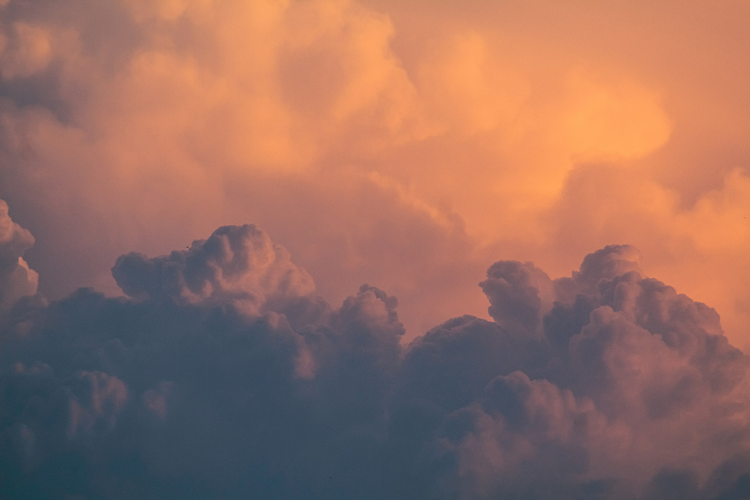 Лето 2024. Dmitriy [KCCC] is a pretty cool photographer