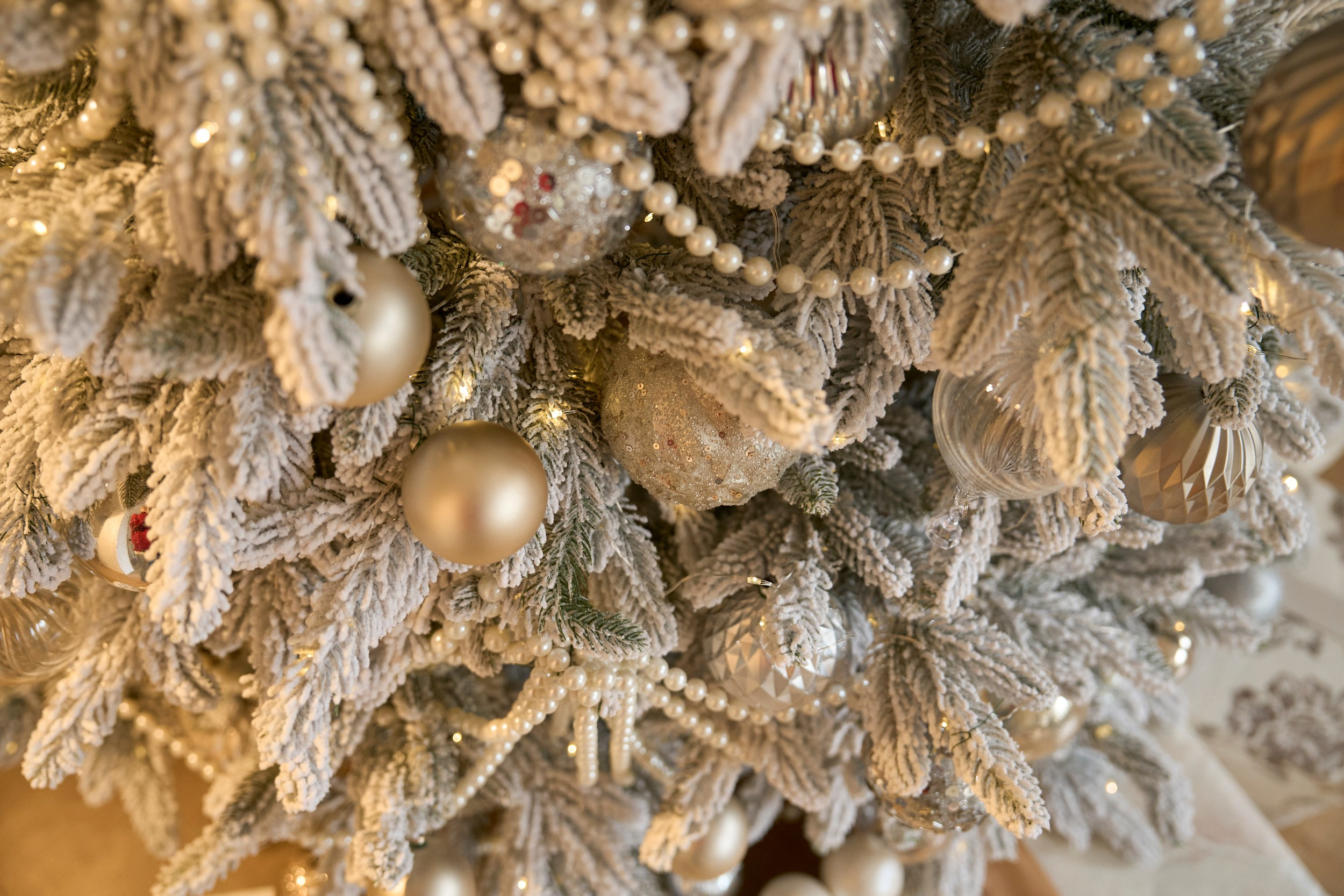 Париж (Paris). Фотограф г. Хабаровск. Семейные и индивидуальные съёмки