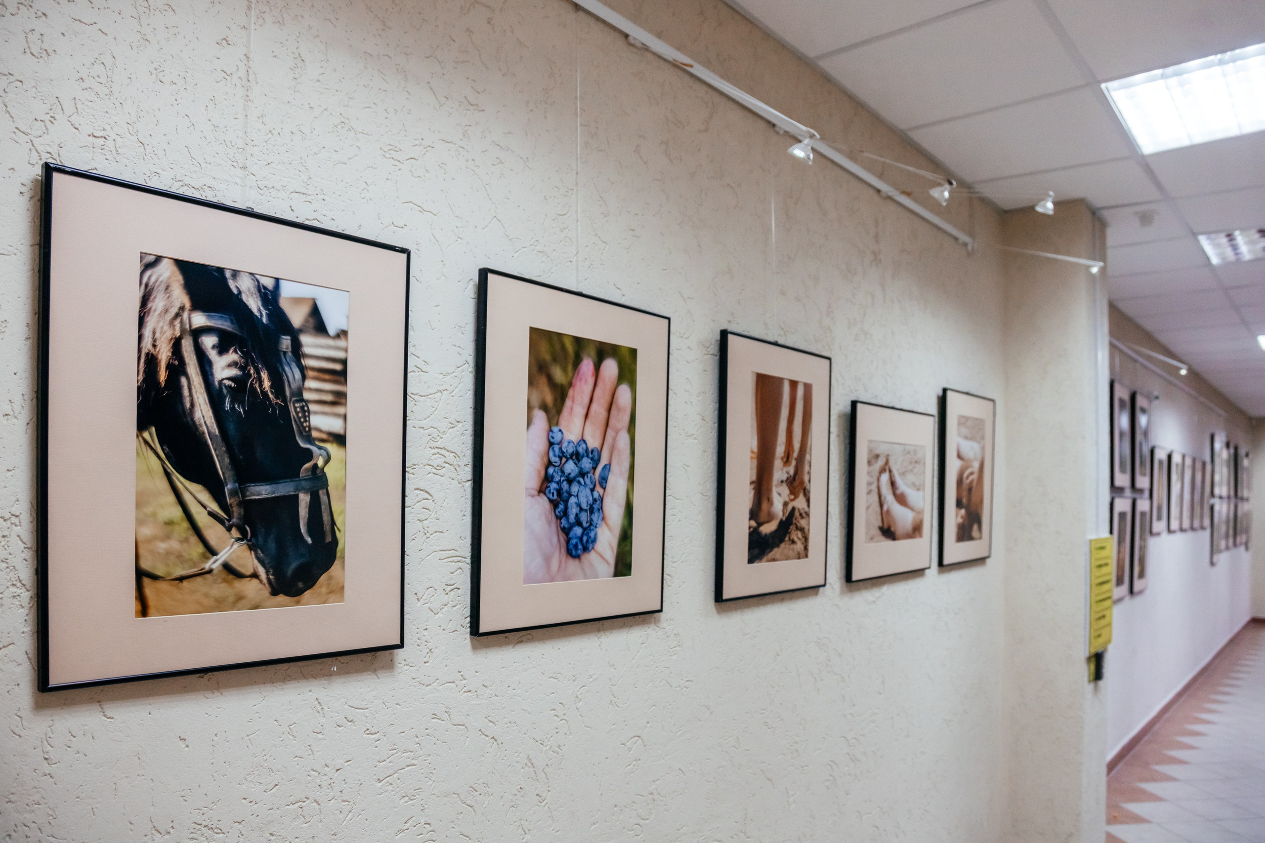 Авторская выставка «Сны о детстве». Фотограф в Красноярске Оксана Корчагина