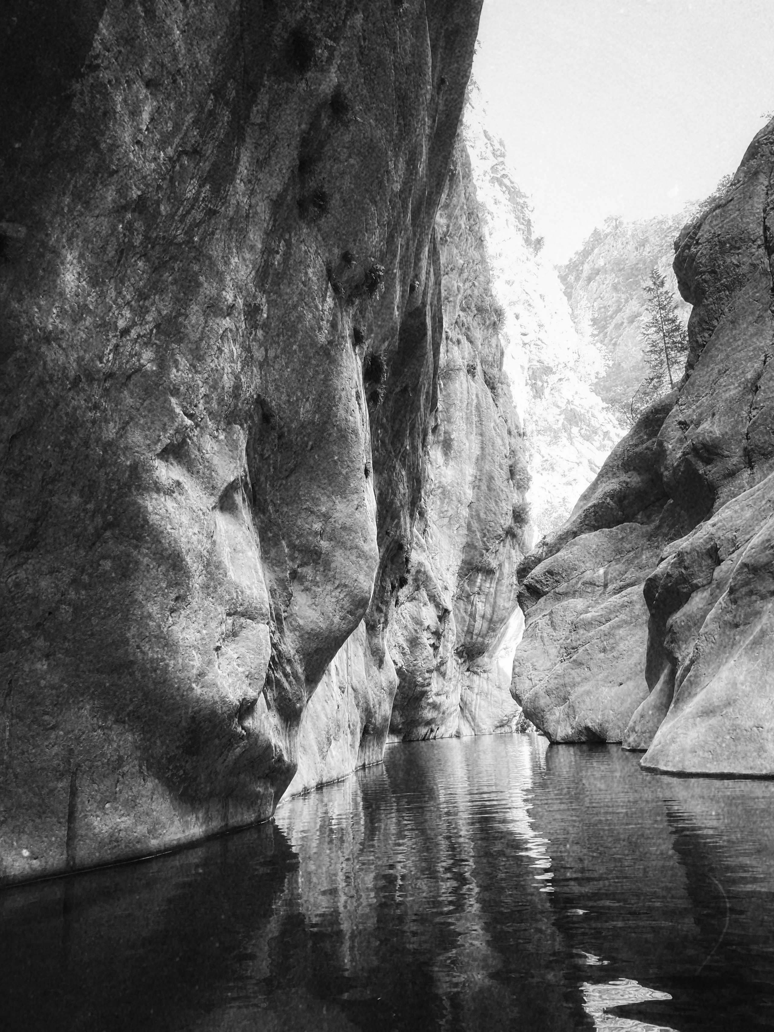 Вояж. Фотограф — Маслеников Константин