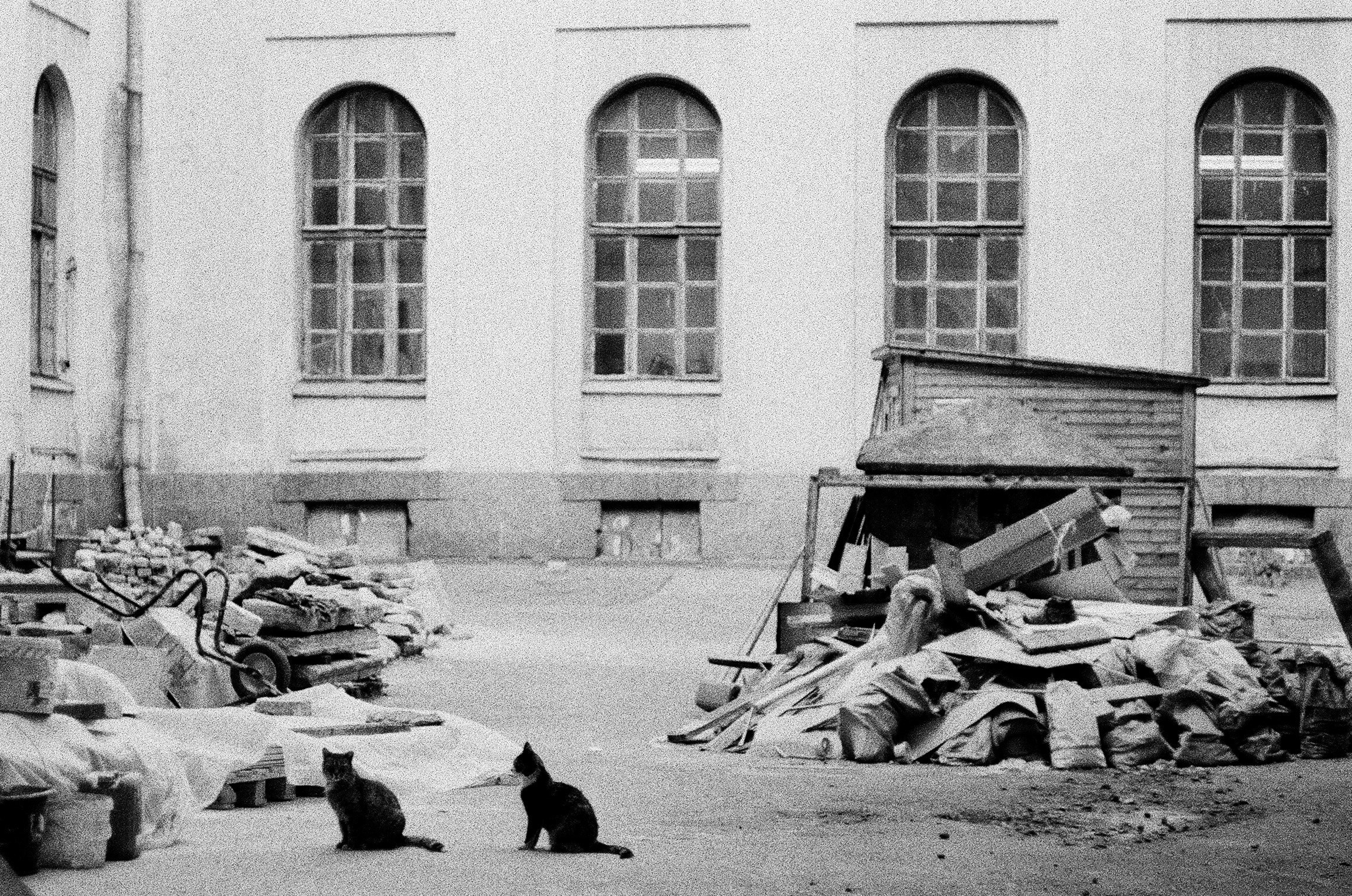 Двое. Фотограф — Маслеников Константин