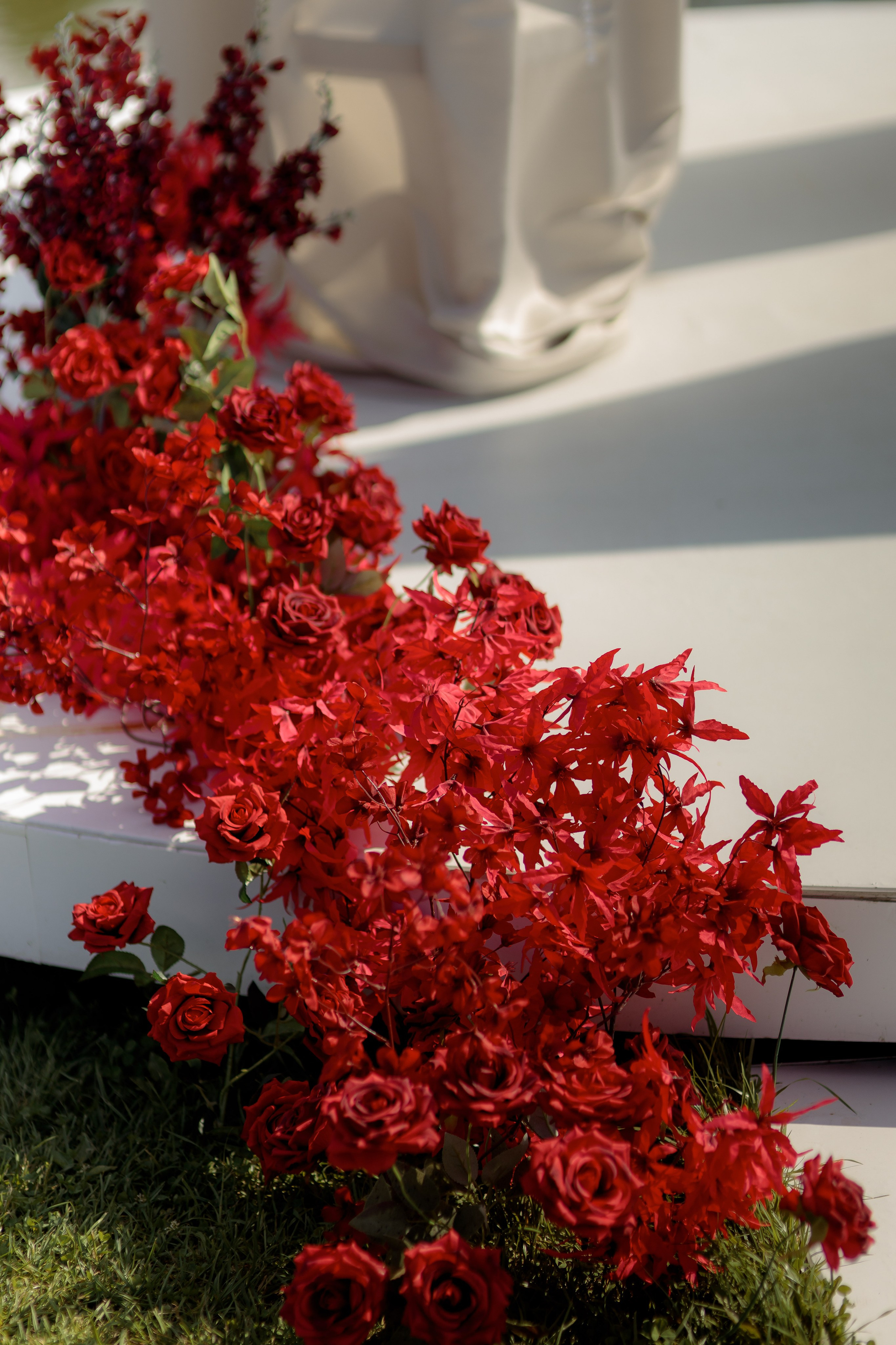 Анастасия и Павел. Фотограф Дарья Норкина