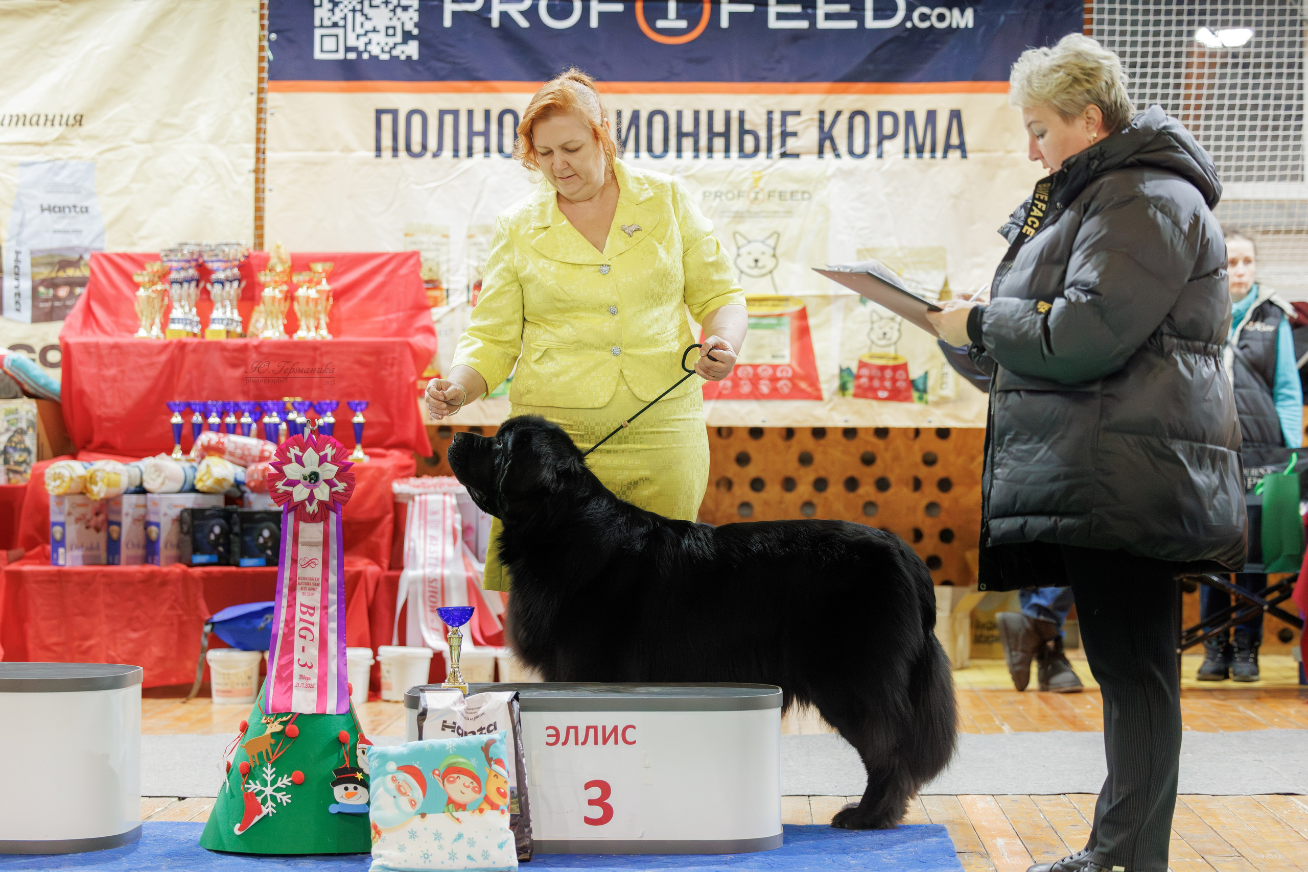 Тверь 21.12.2025. Фотограф-анималист Юлия Германика