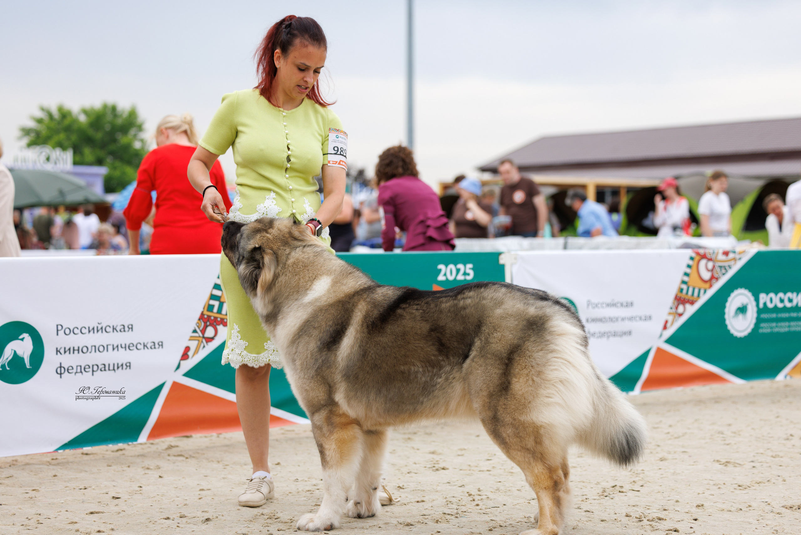 РОССИЯ 7-8.06.2025. Фотограф-анималист Юлия Германика