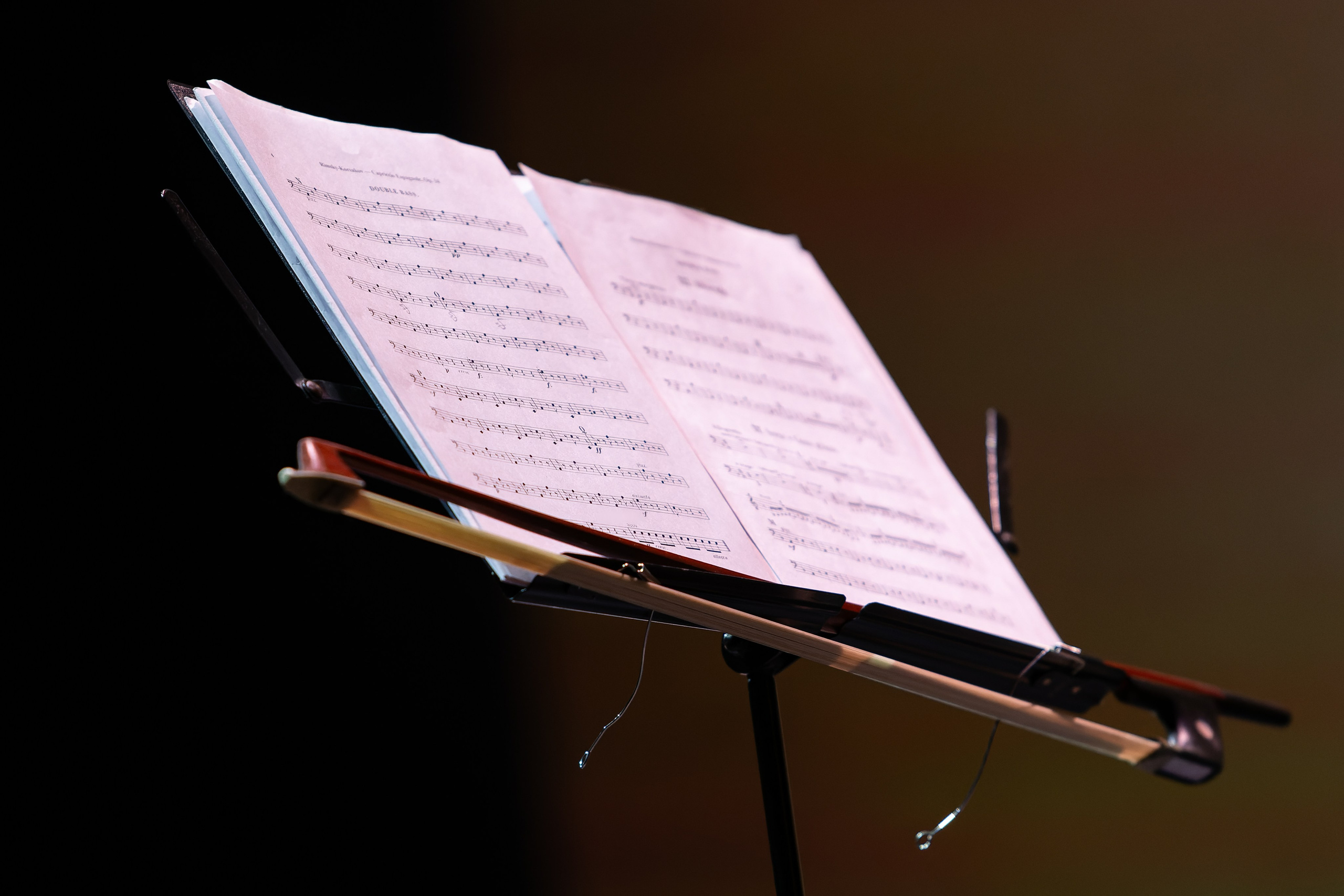 Концерт Южно-Сахалинского симфонического оркестра. Кутузов Евгений Фотограф в Южно-Сахалинске