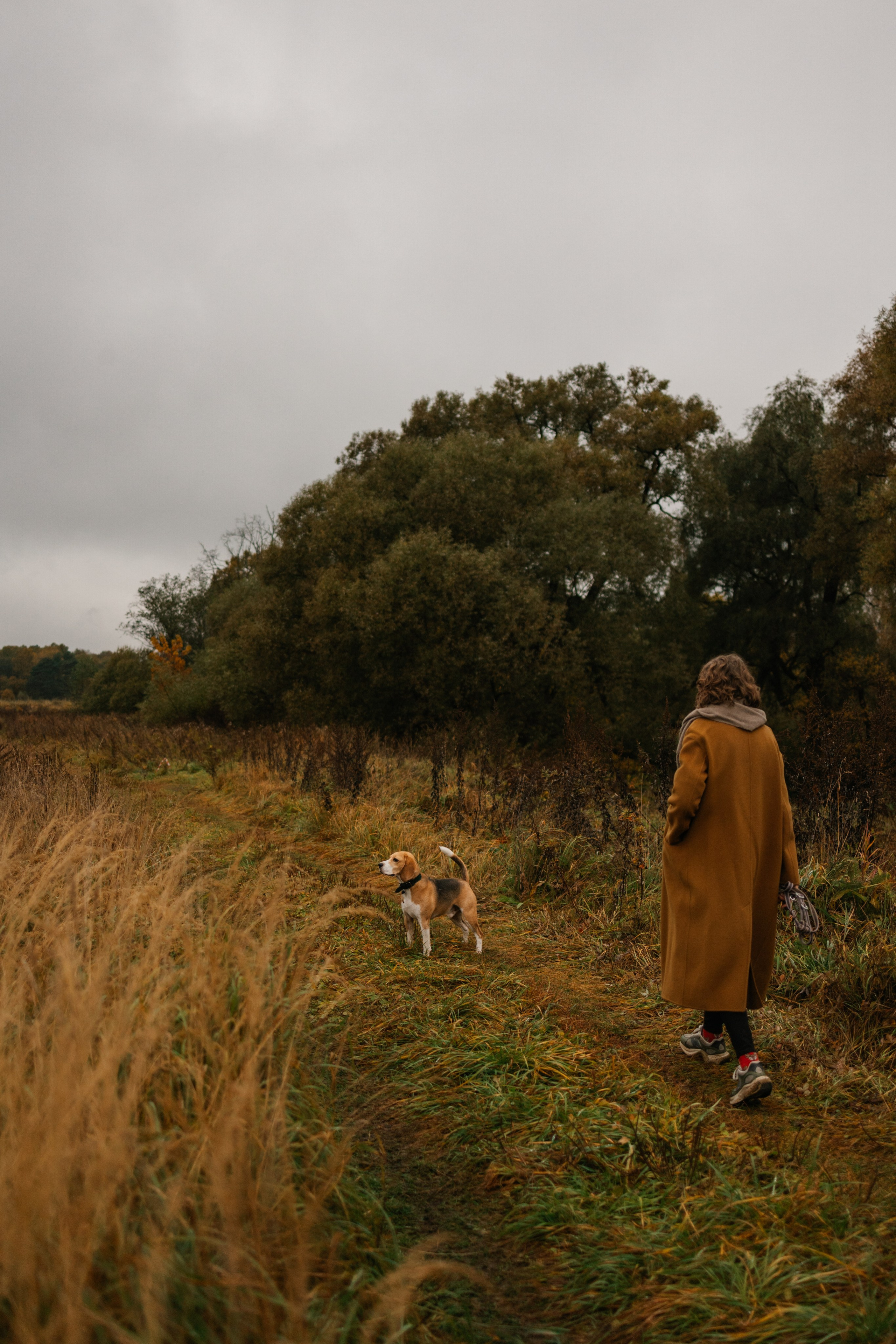 Лена и Тайгер. Фотограф — Анималист | Санкт-Петербург