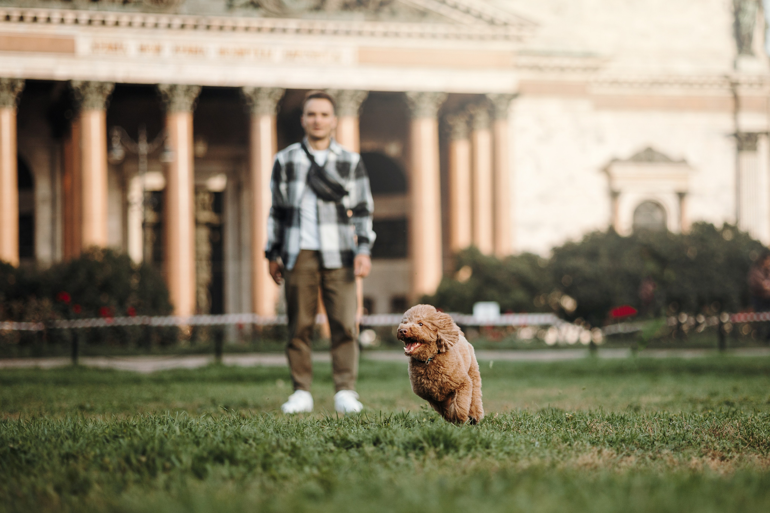Барни и его семья. Фотограф — Анималист | Санкт-Петербург