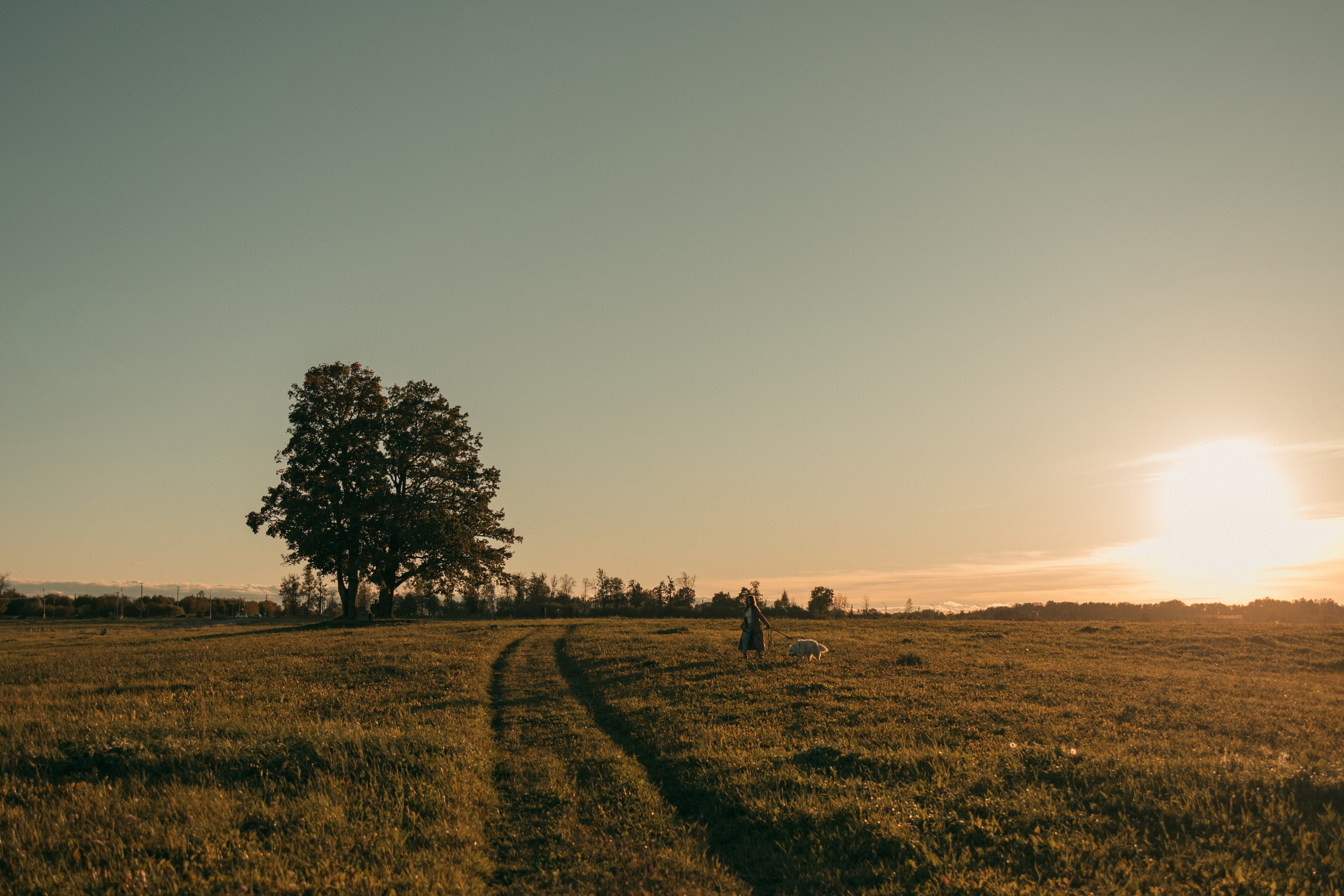 Лера и Скай. Фотограф — Анималист | Санкт-Петербург