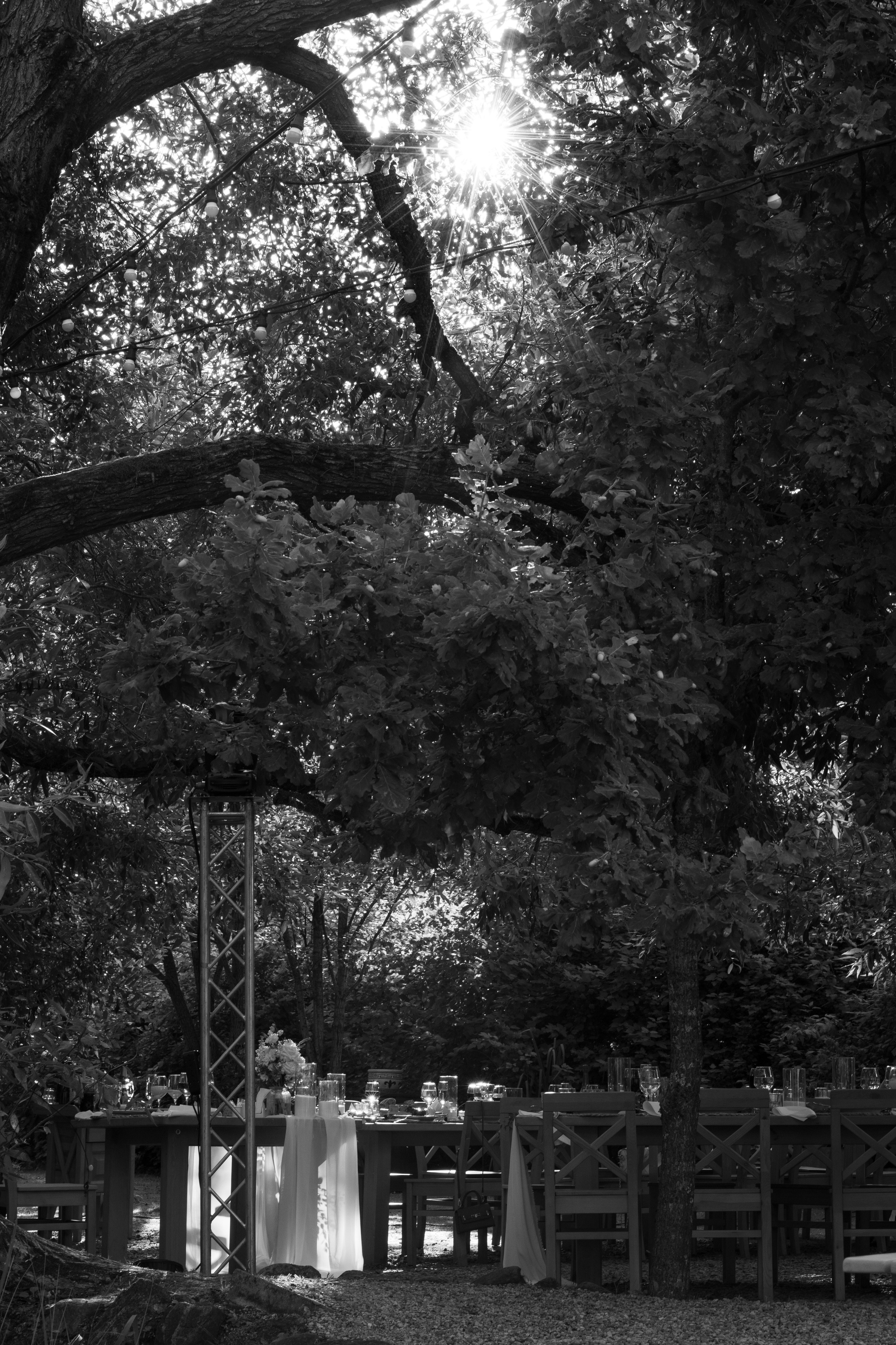 УСАДЬБА ГАНКА. Cheta Kovalevsky фотографы